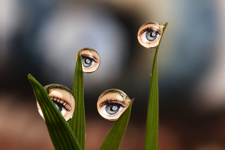 eyes drops.jpeg
