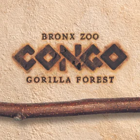 CONGO SQ.jpg