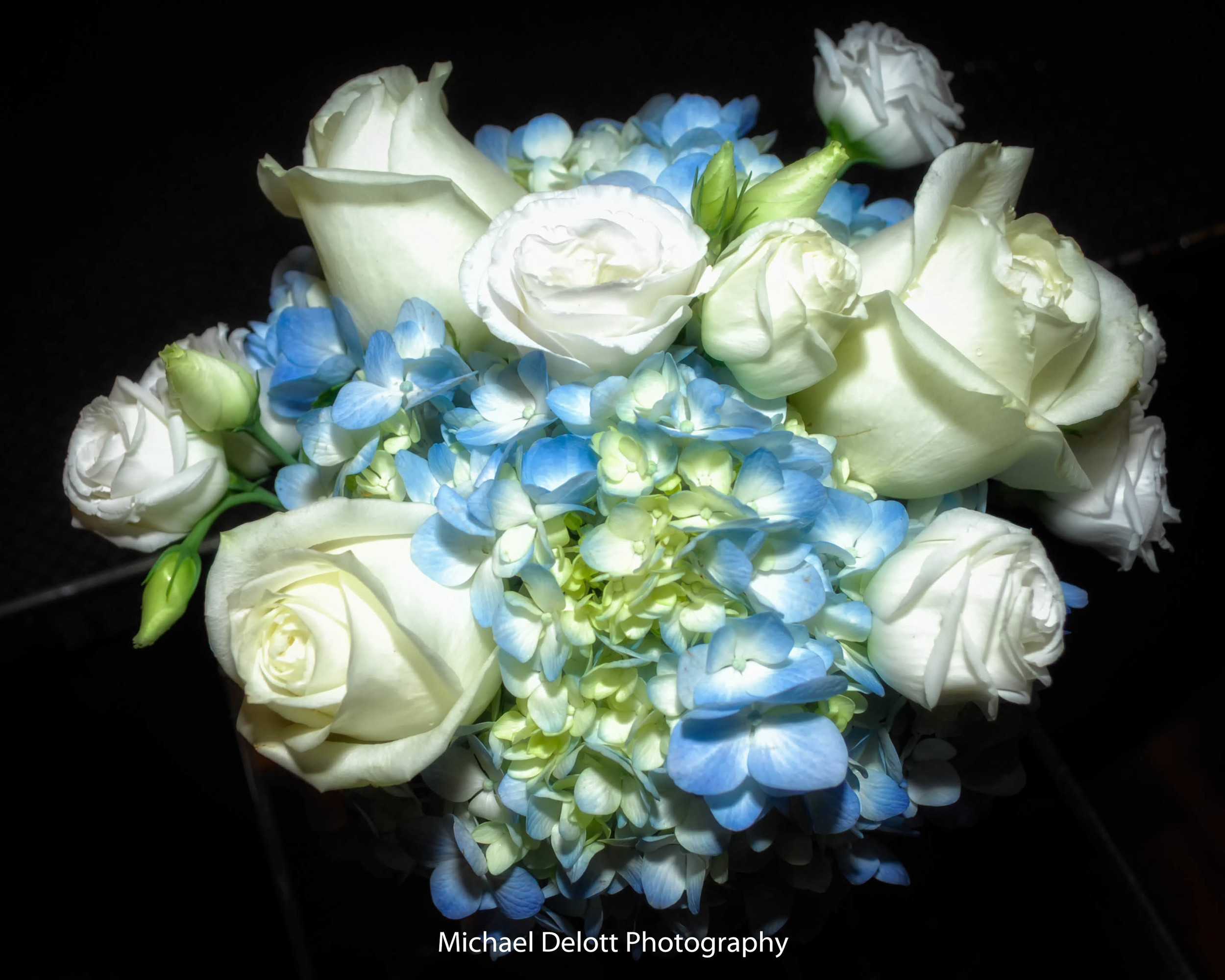 Viper Alley | Michael Delott Photography