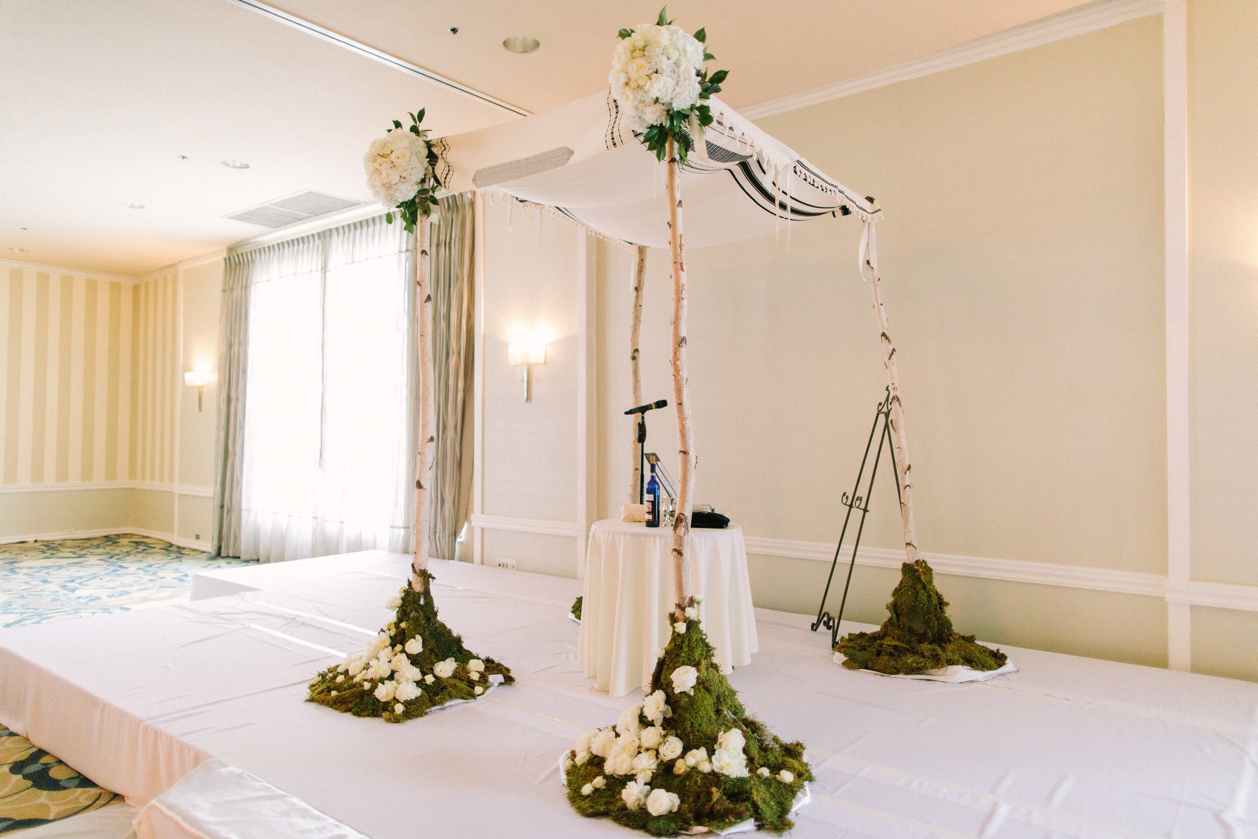 Hilton Orrington | Tim Tab Studios