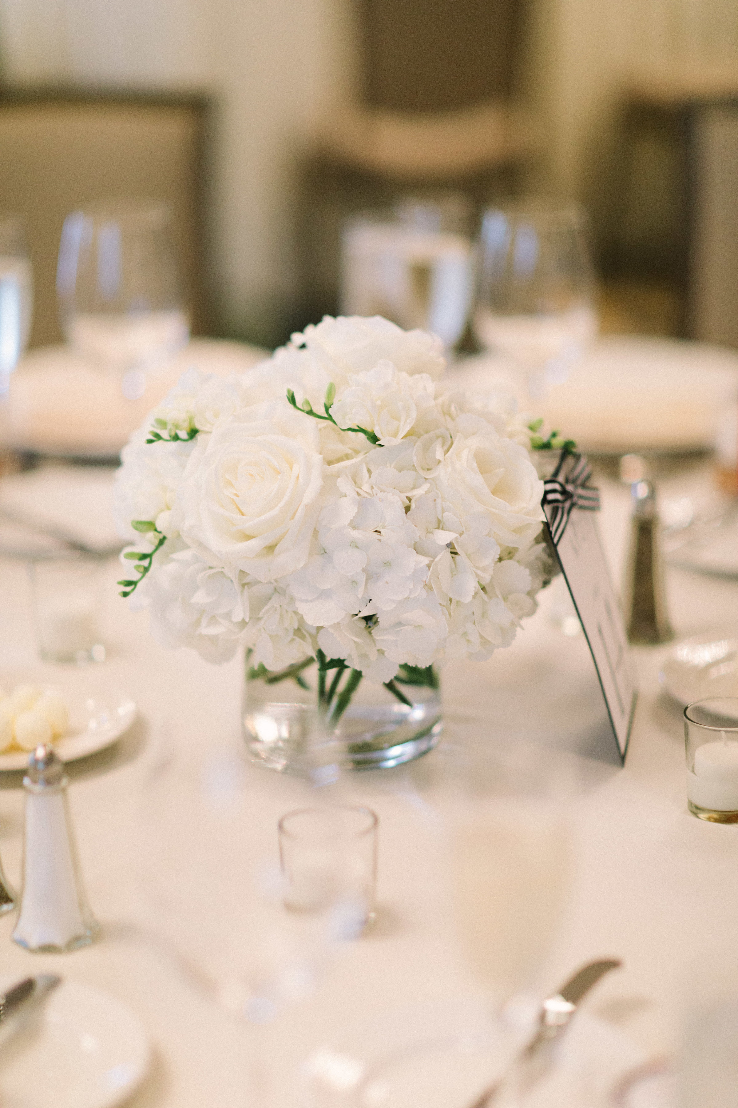 Hilton Orrington | Tim Tab Studios