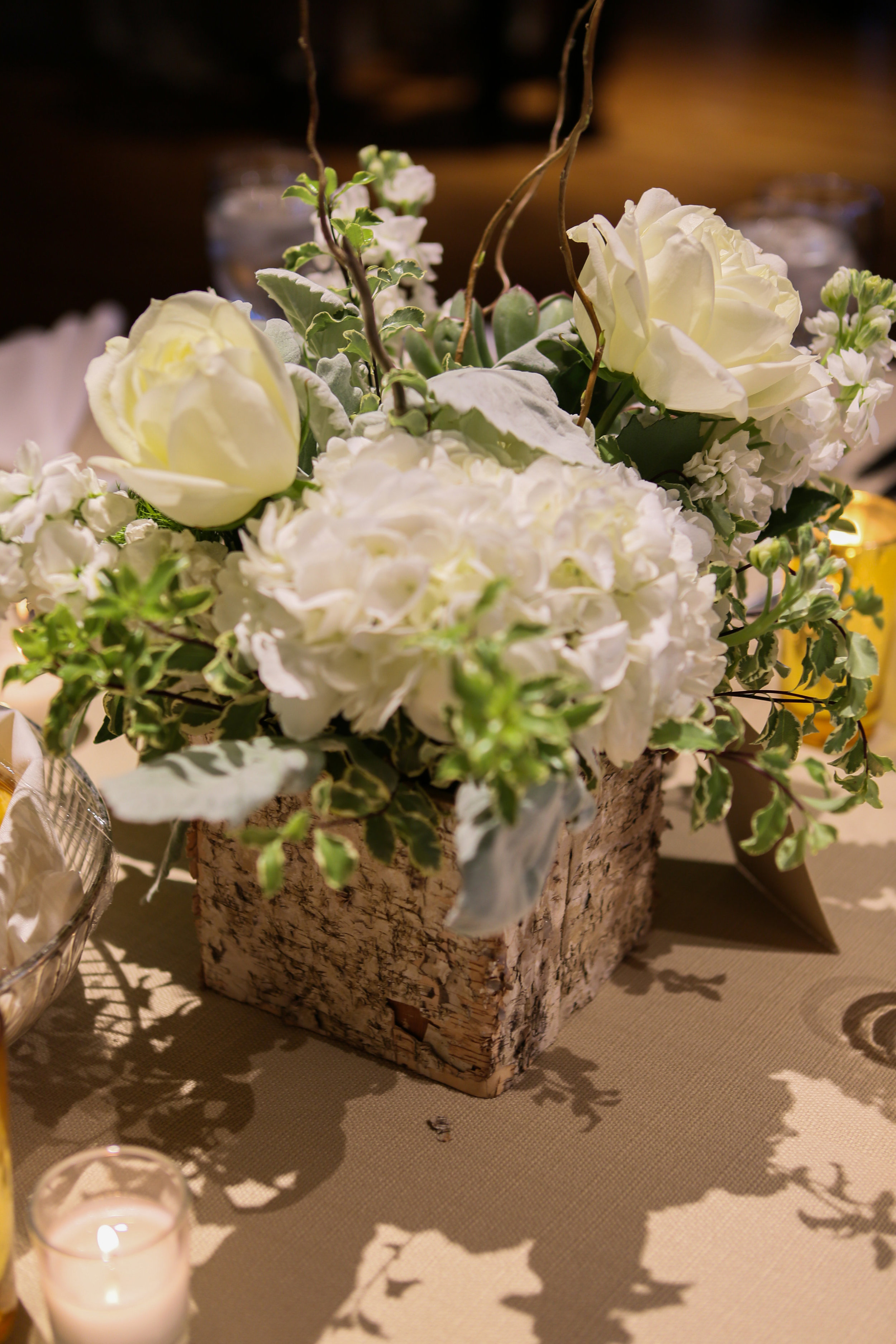 Bridgeport Art Center | Stephanie Jolin Photography