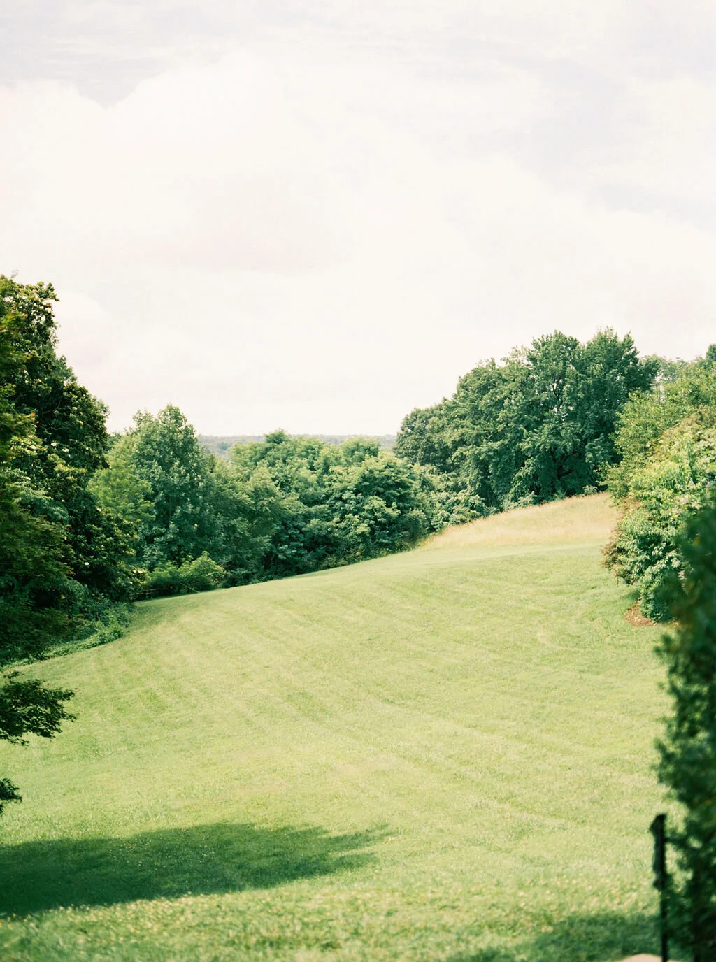 AngelaElise_VirginiaHouse_RichmondVirginia_0005.JPG