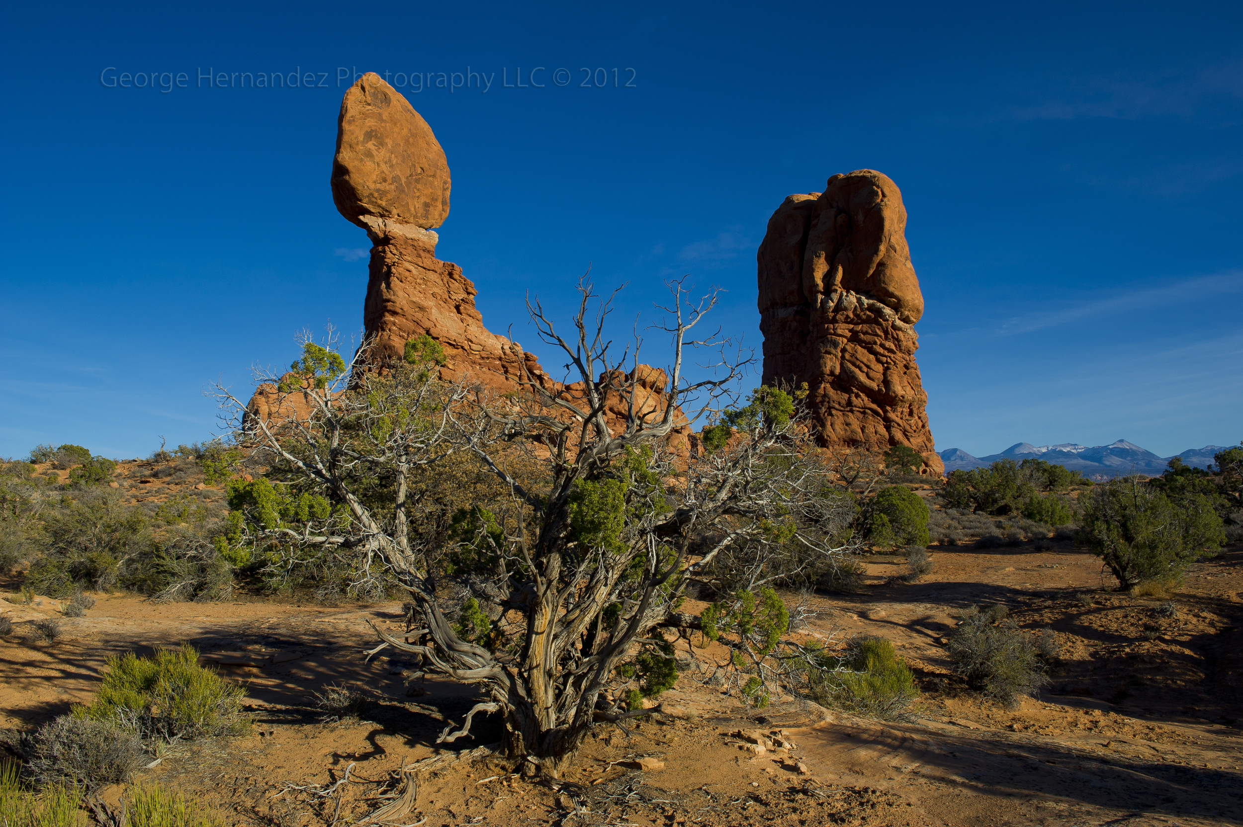 "Balanced Rock" Arches N.P.