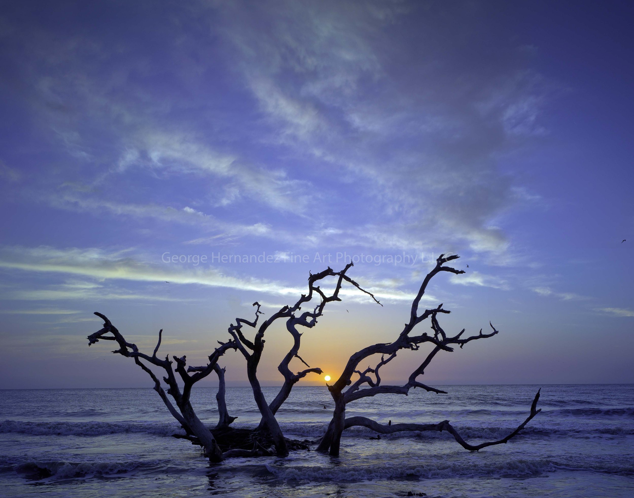Driftwood Beach Sunrise
