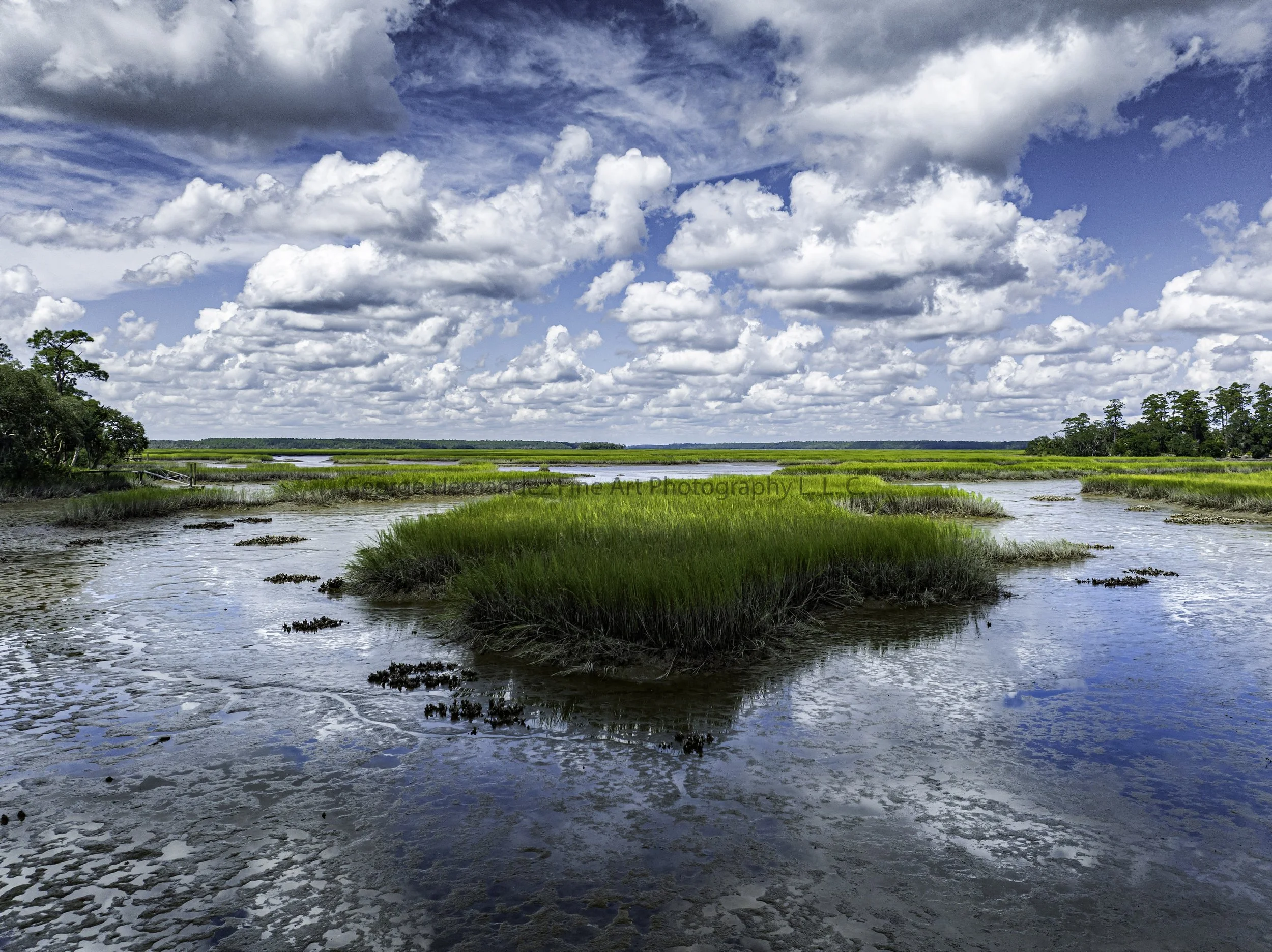 Marshes of Glynn #9