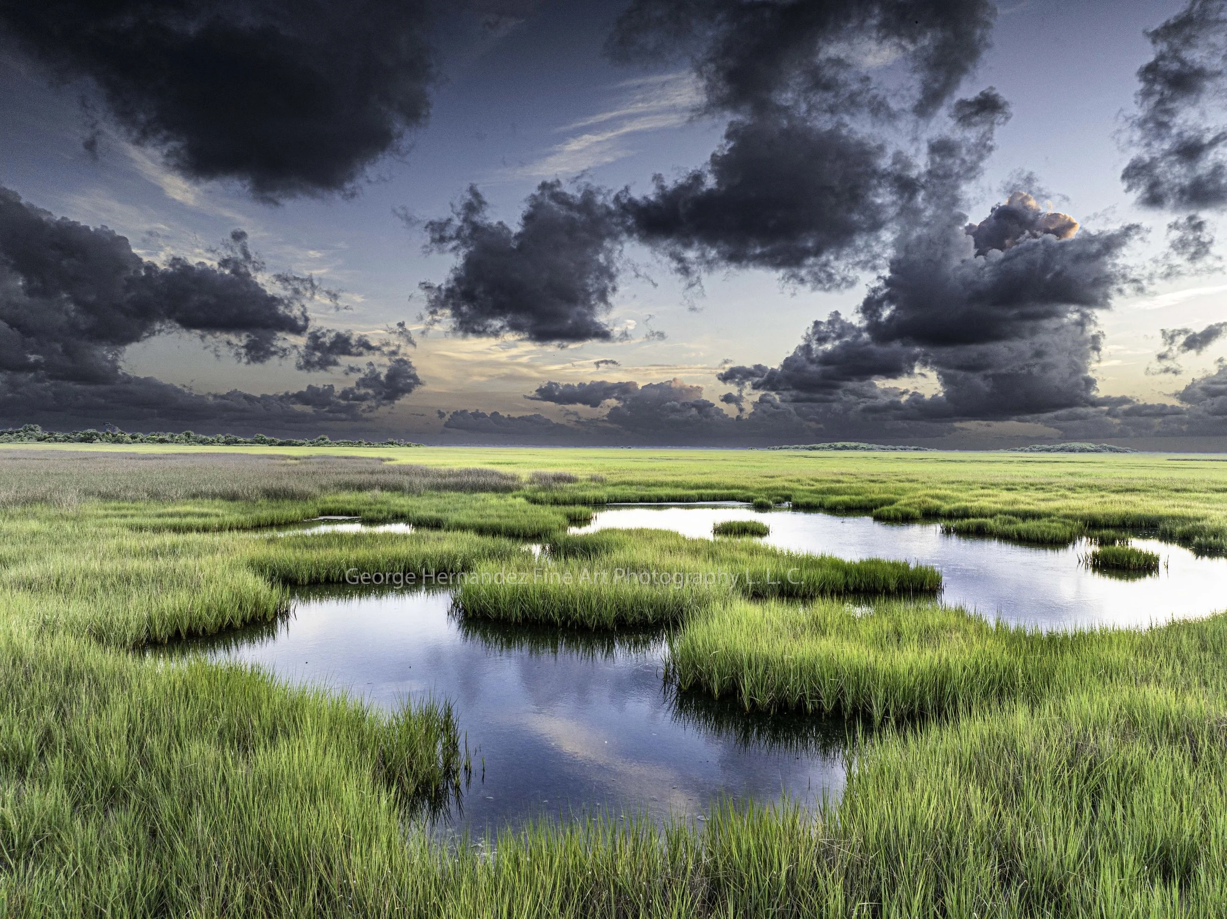 Marshes of Glynn #13