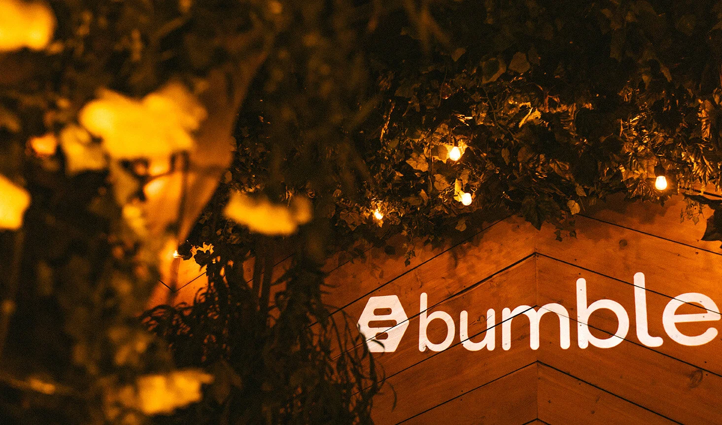 BUMBLEIMG2019_0214_192444-6997_MNMsml copy.jpg