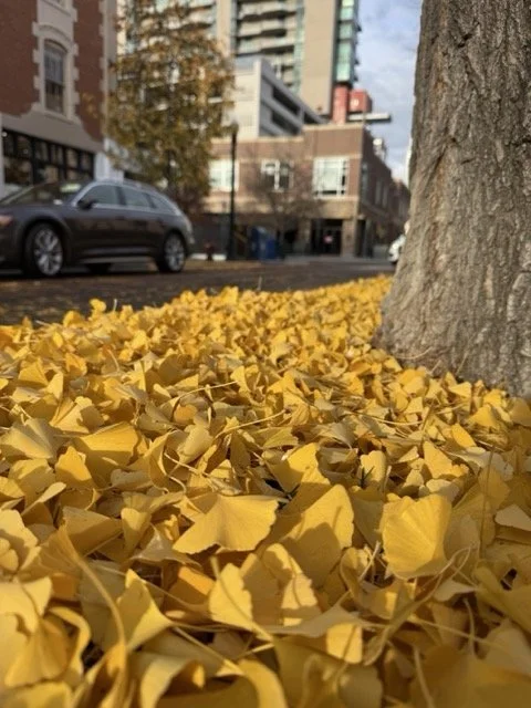 You’re (Probably) Using AI Wrong