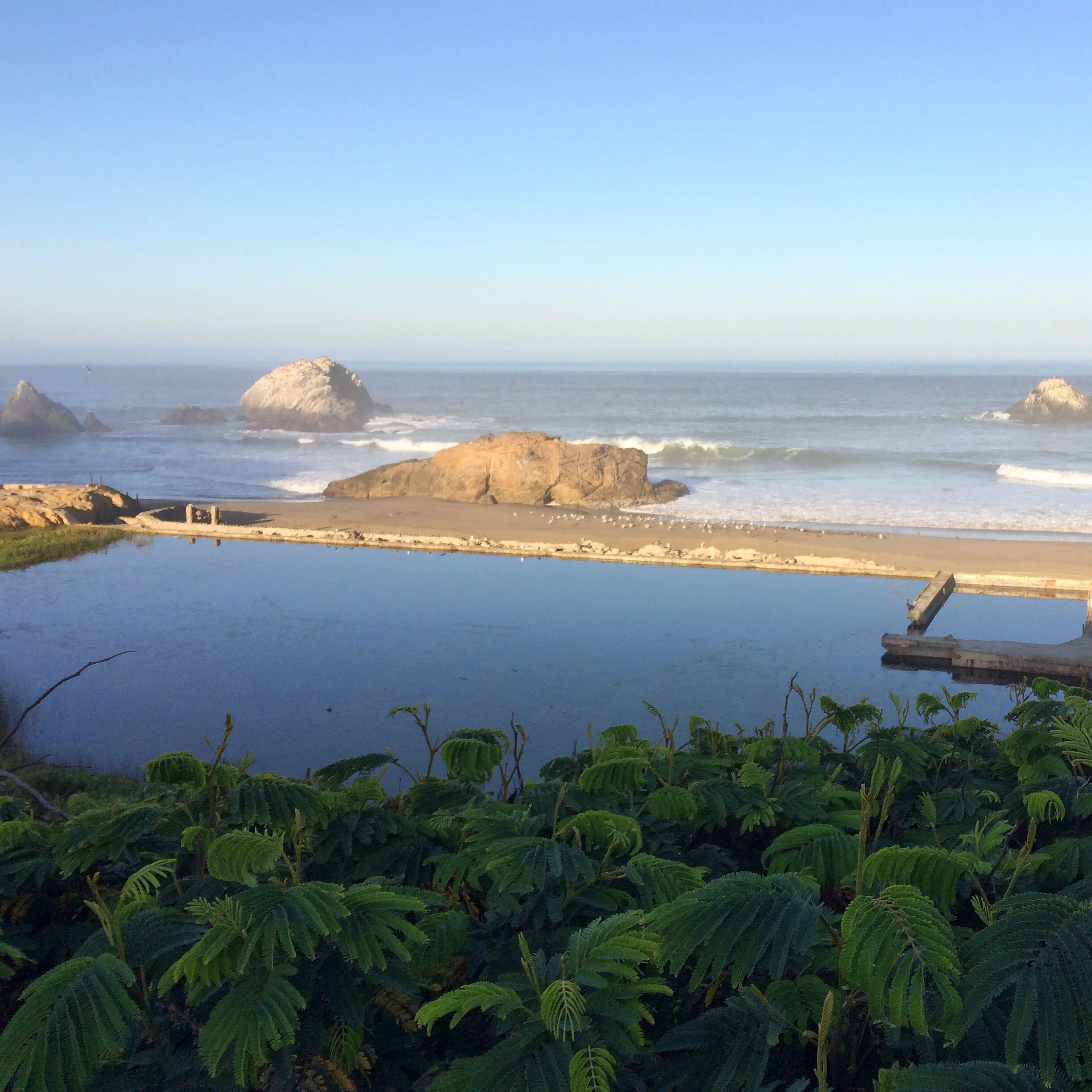 Day trip to Mt. Tam with Yu-Sung