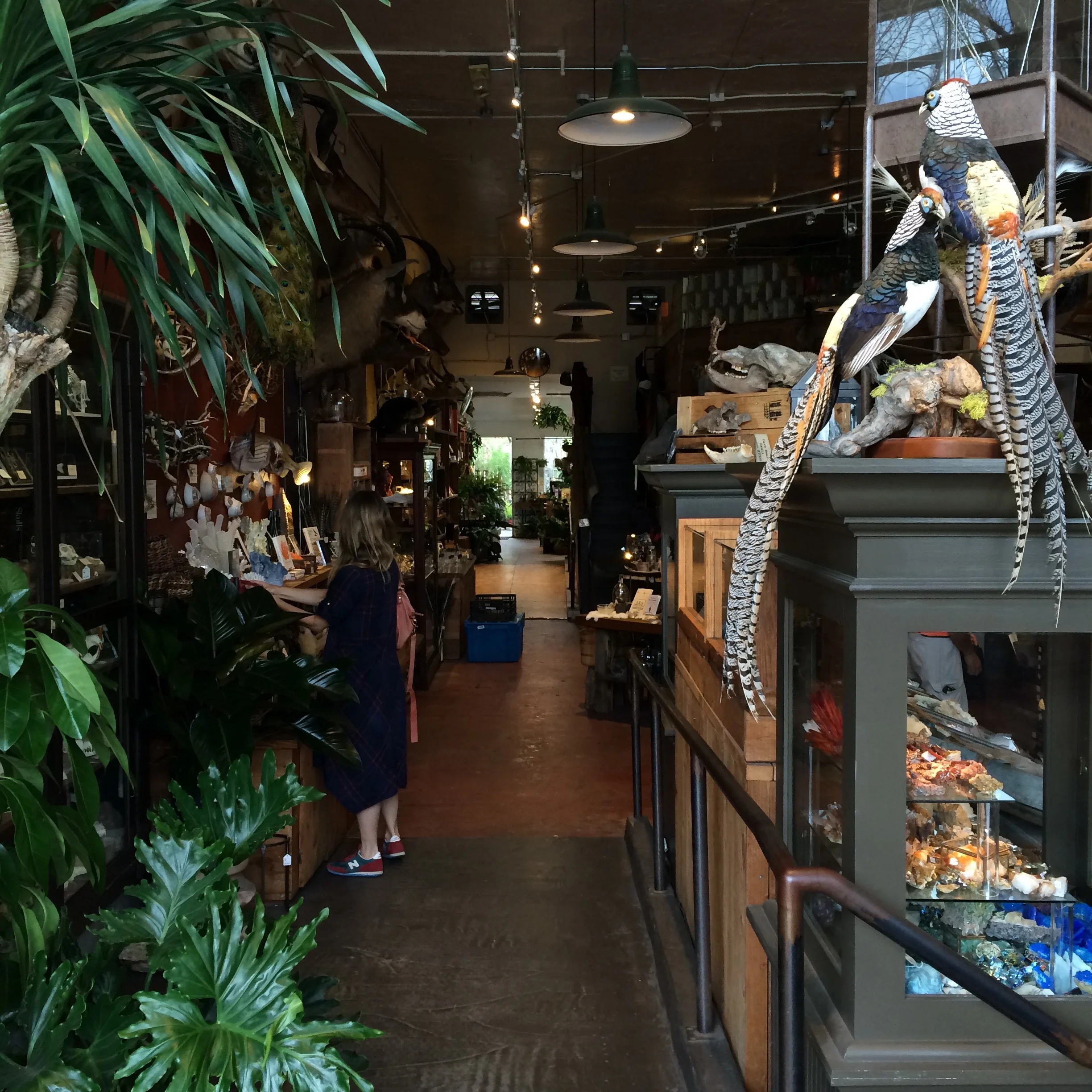 On a Mission with Jed