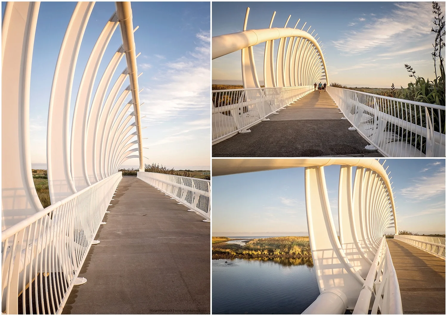 Trip to Te Rewa Rewa Bridge