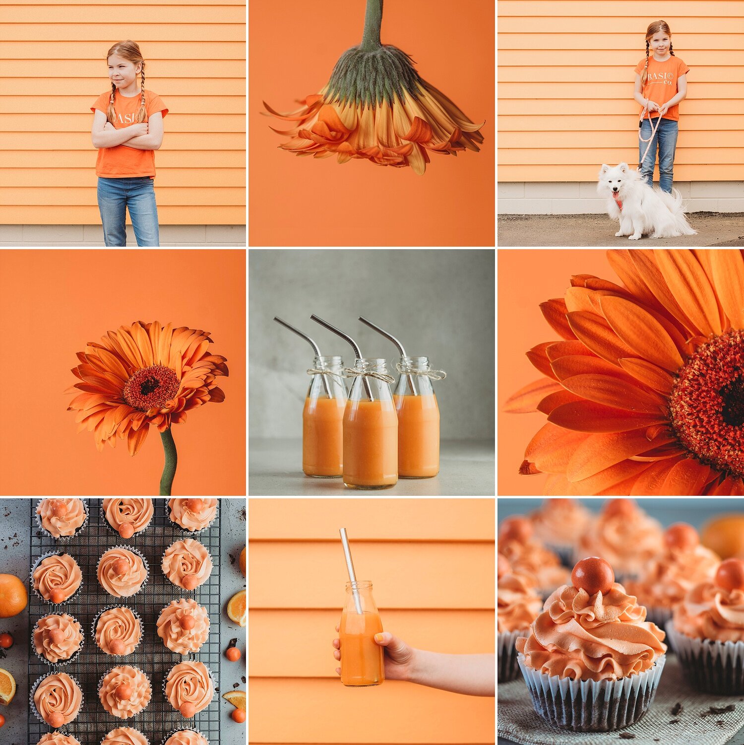 010 ColourChaseChallenge - Orange.jpg