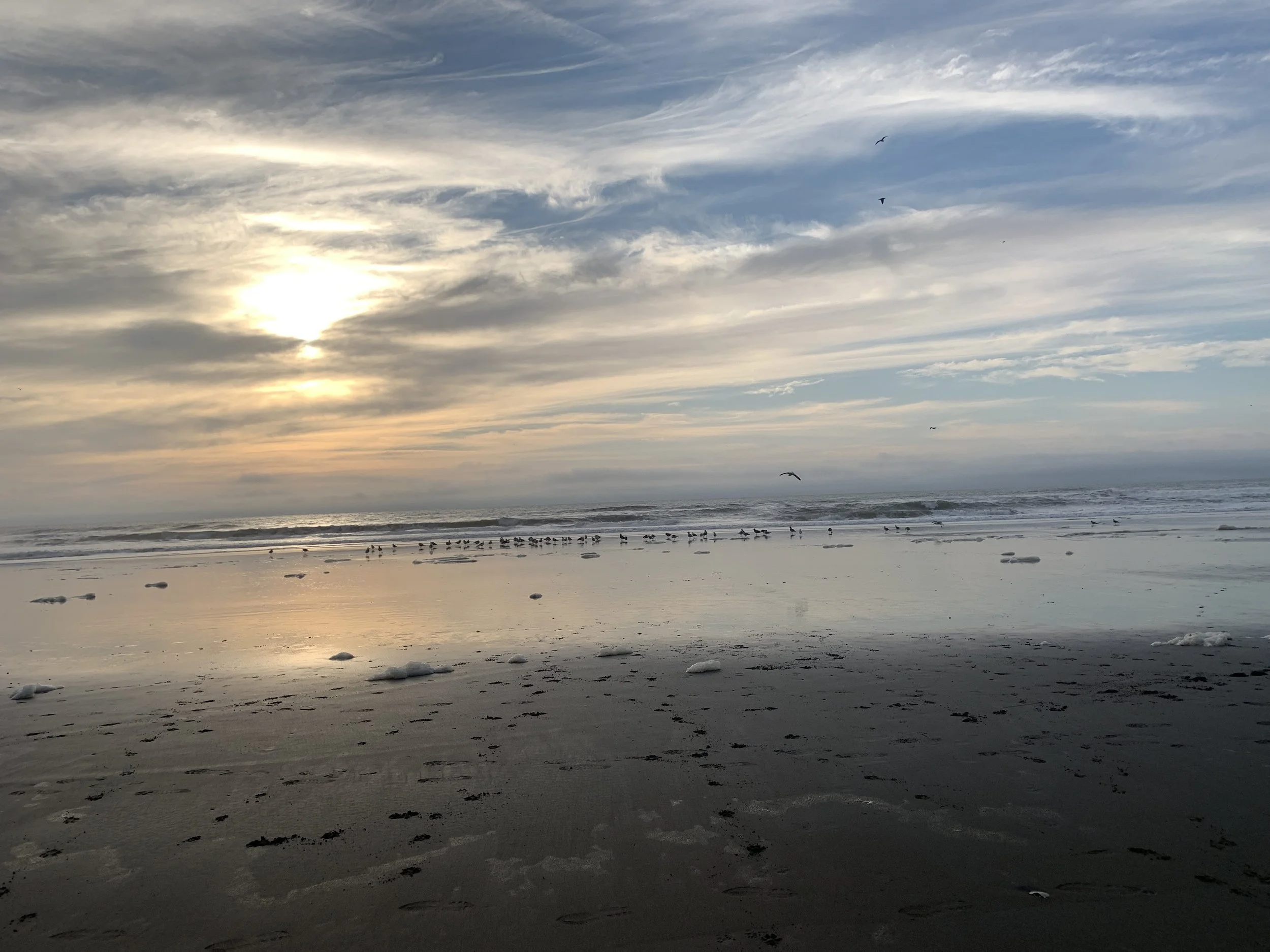 World Ocean Initiatives Accelerator program