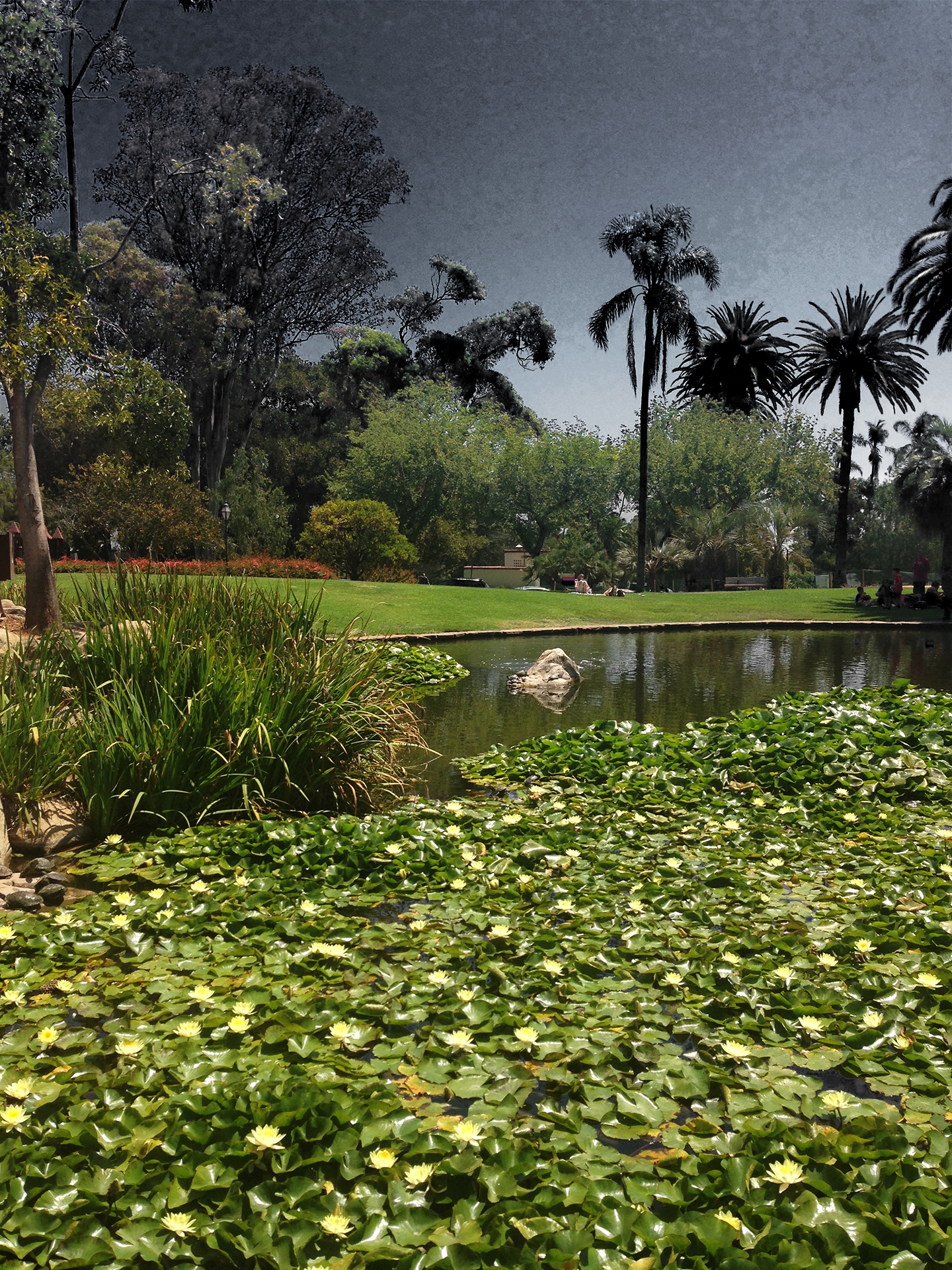 Santa-barbara-Pond-1920.jpg