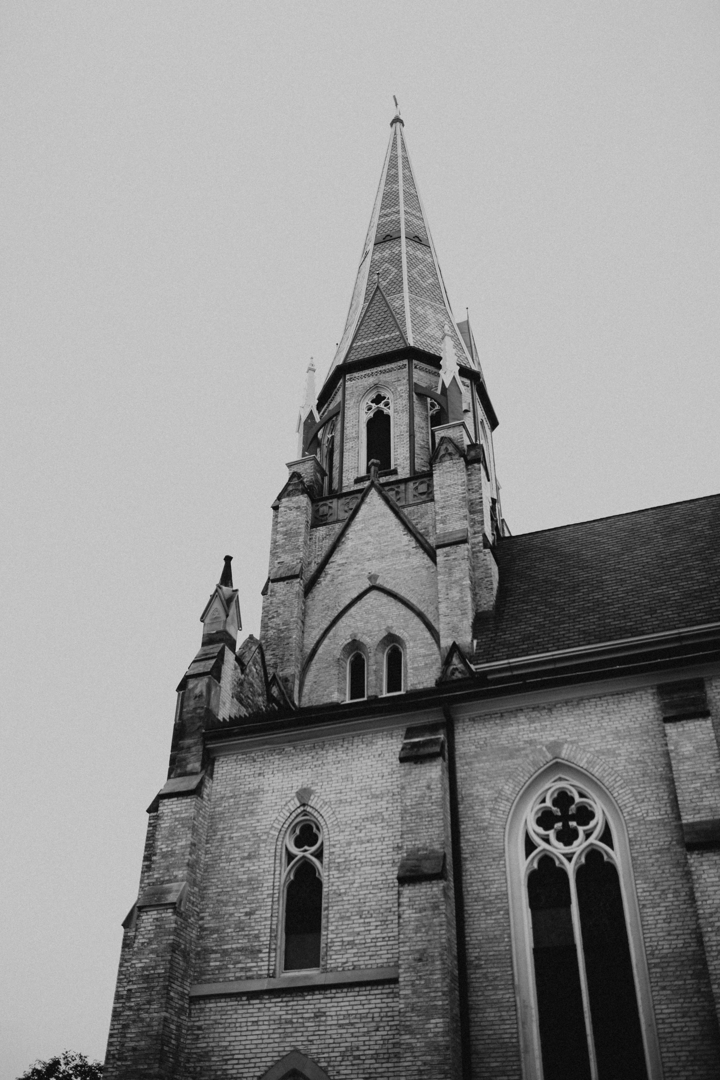 85.jpg
