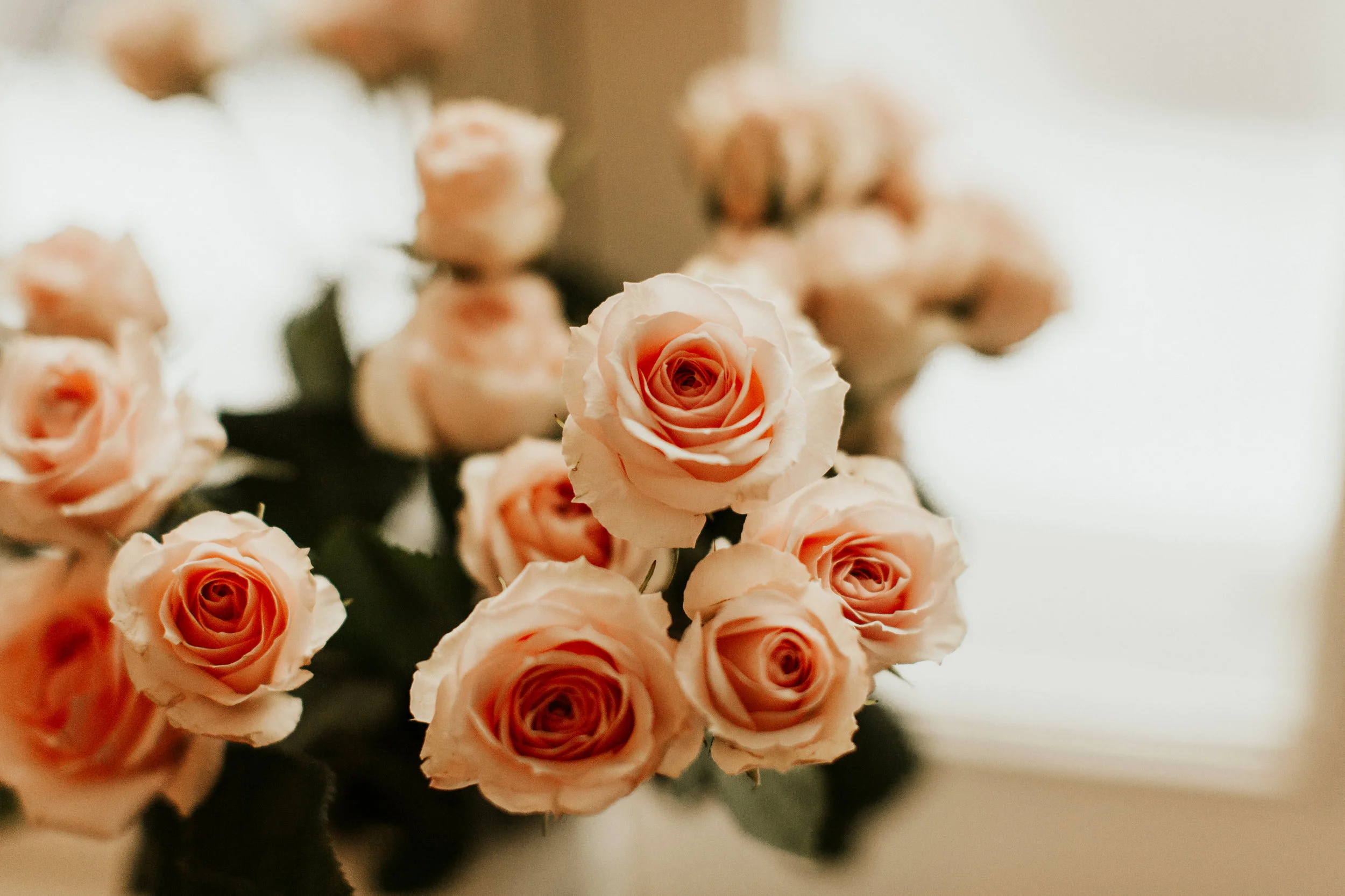 untitled-20.jpg