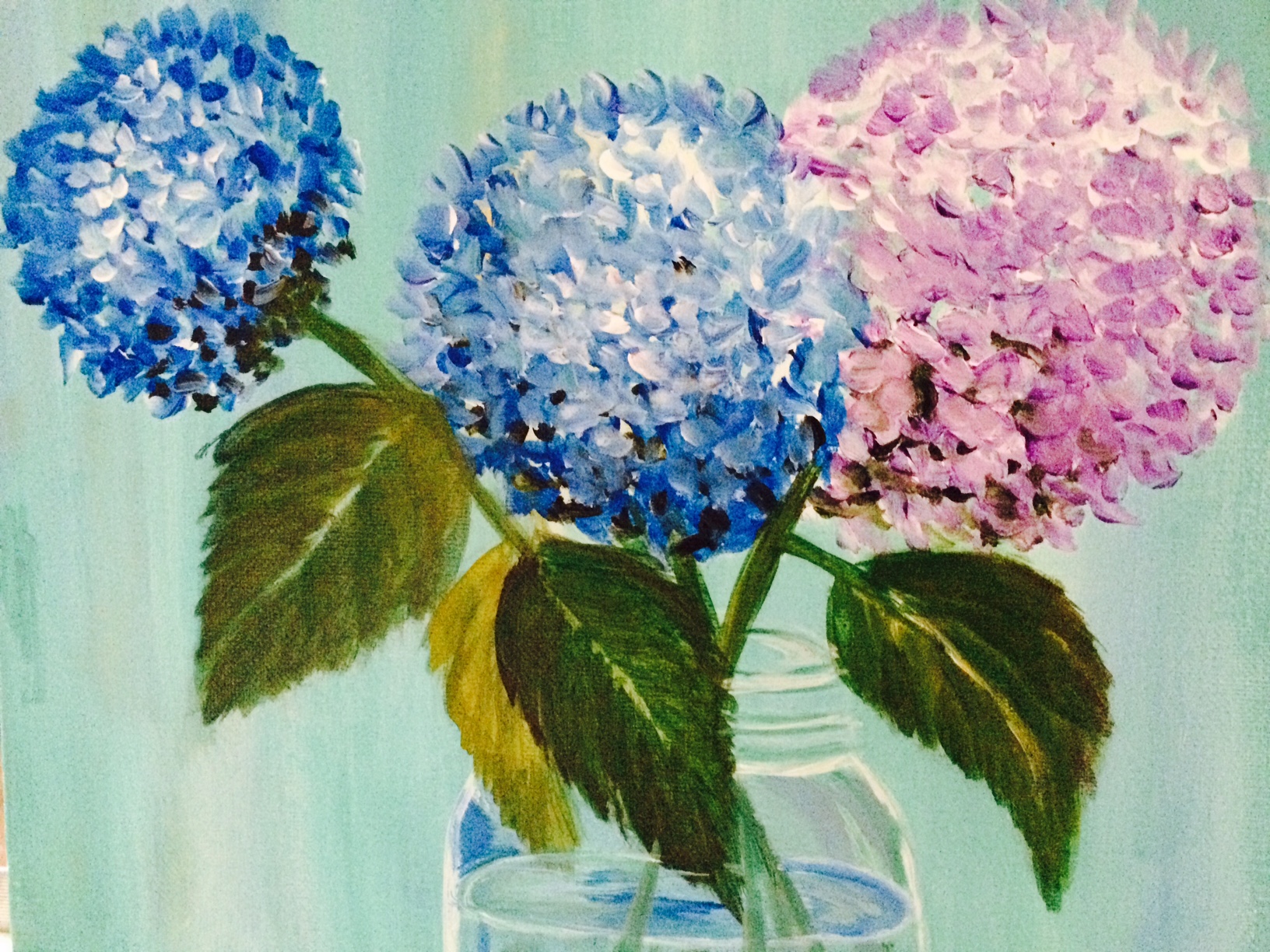 Hydrangeas in Bloom
