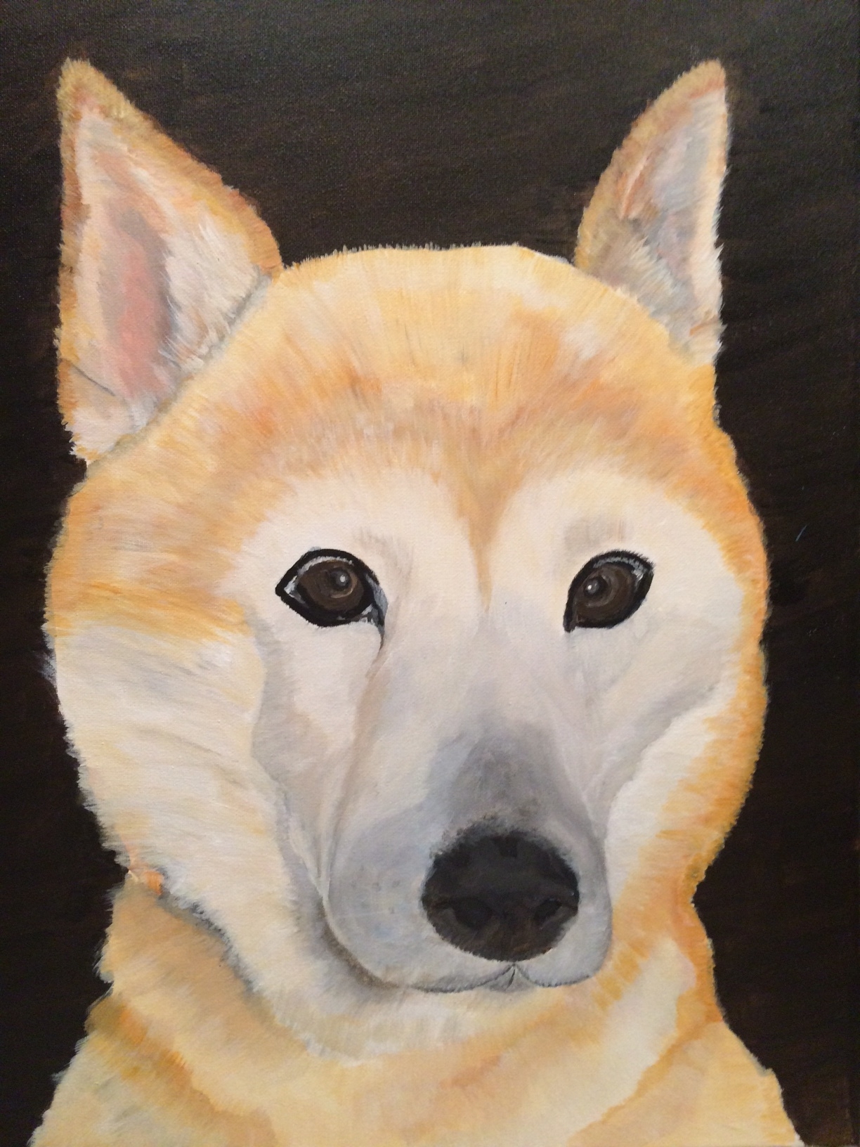 In memory of Patches.. My Shiba Inu