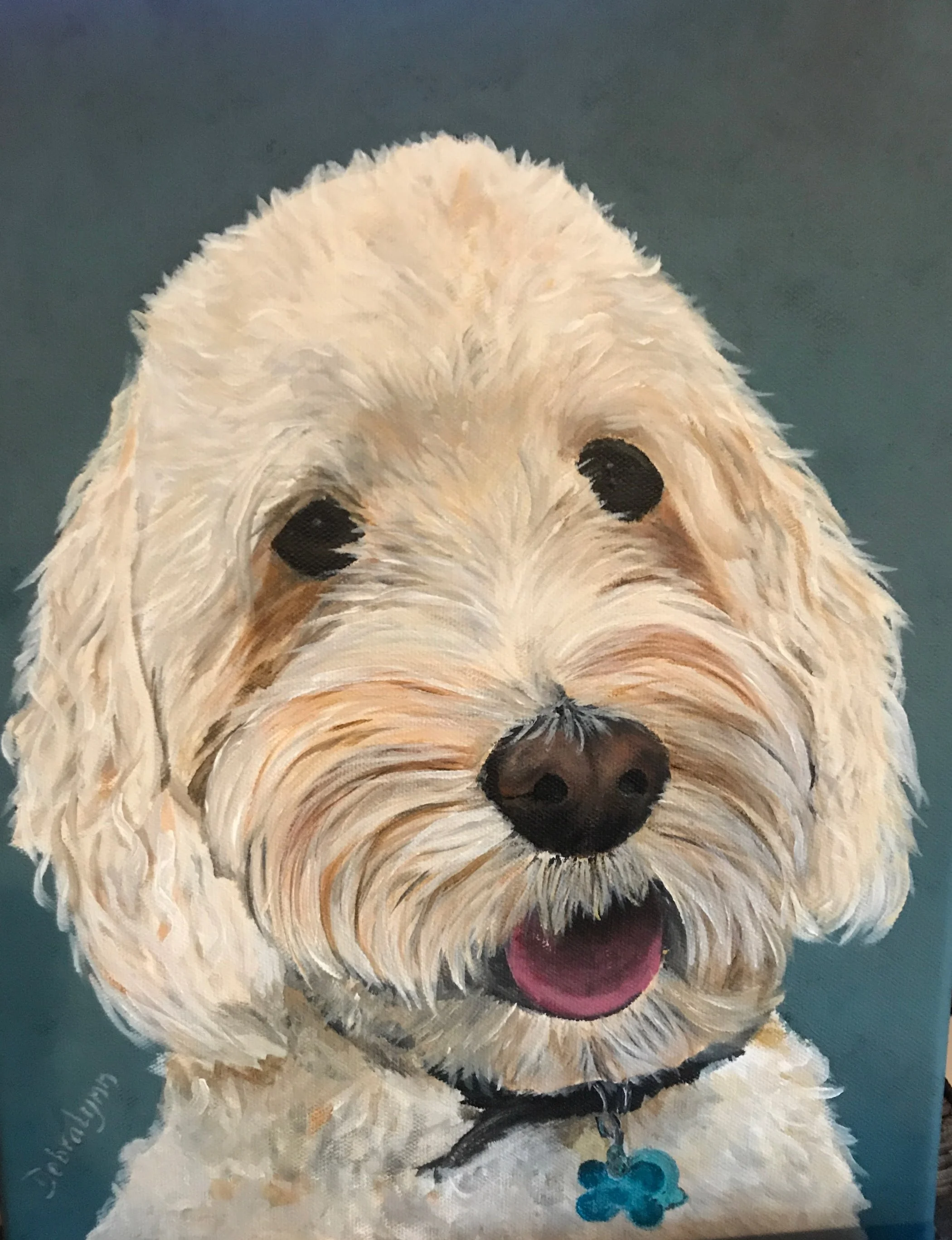 Douglas. Goldendoodle