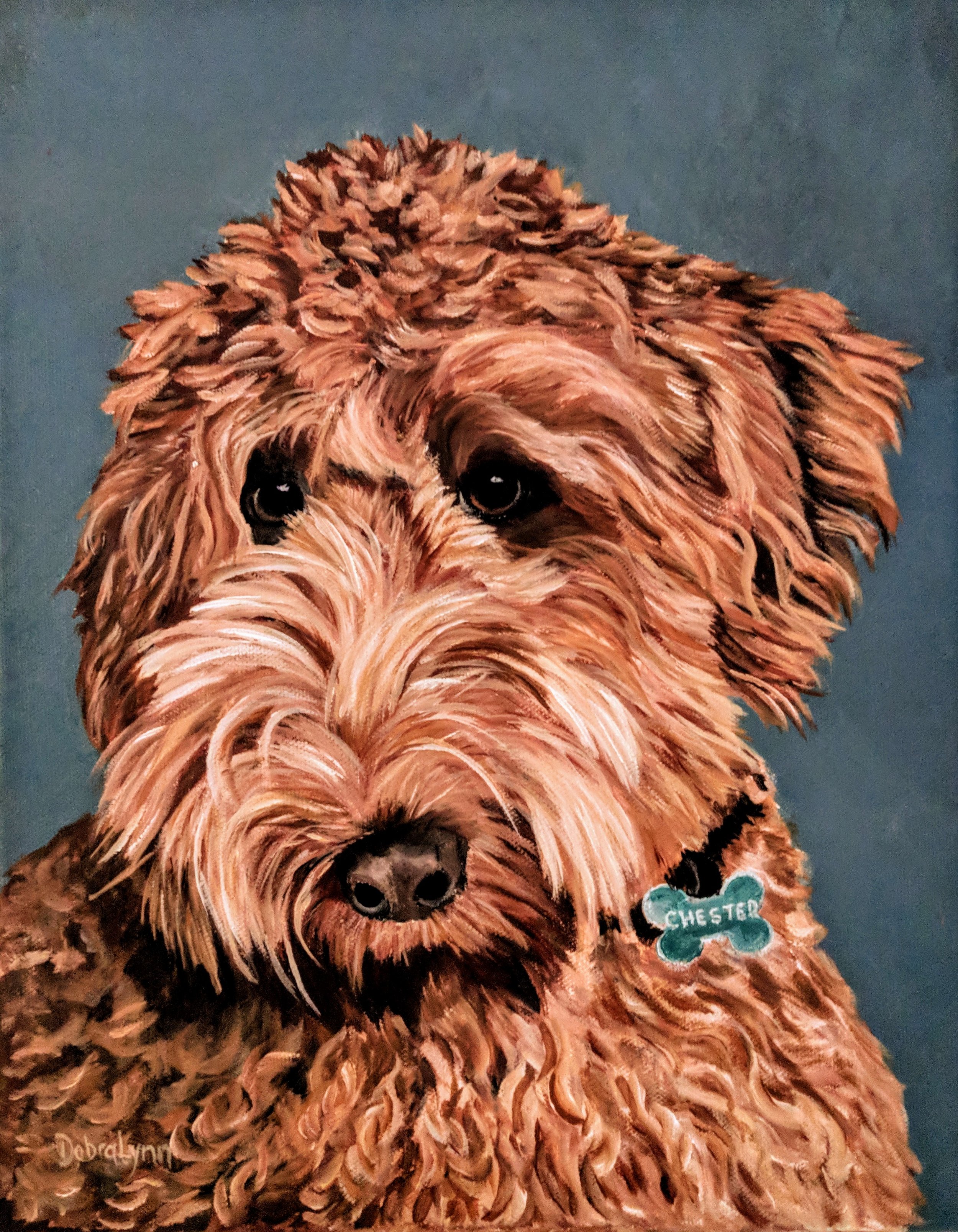 Chester.  Goldendoodle