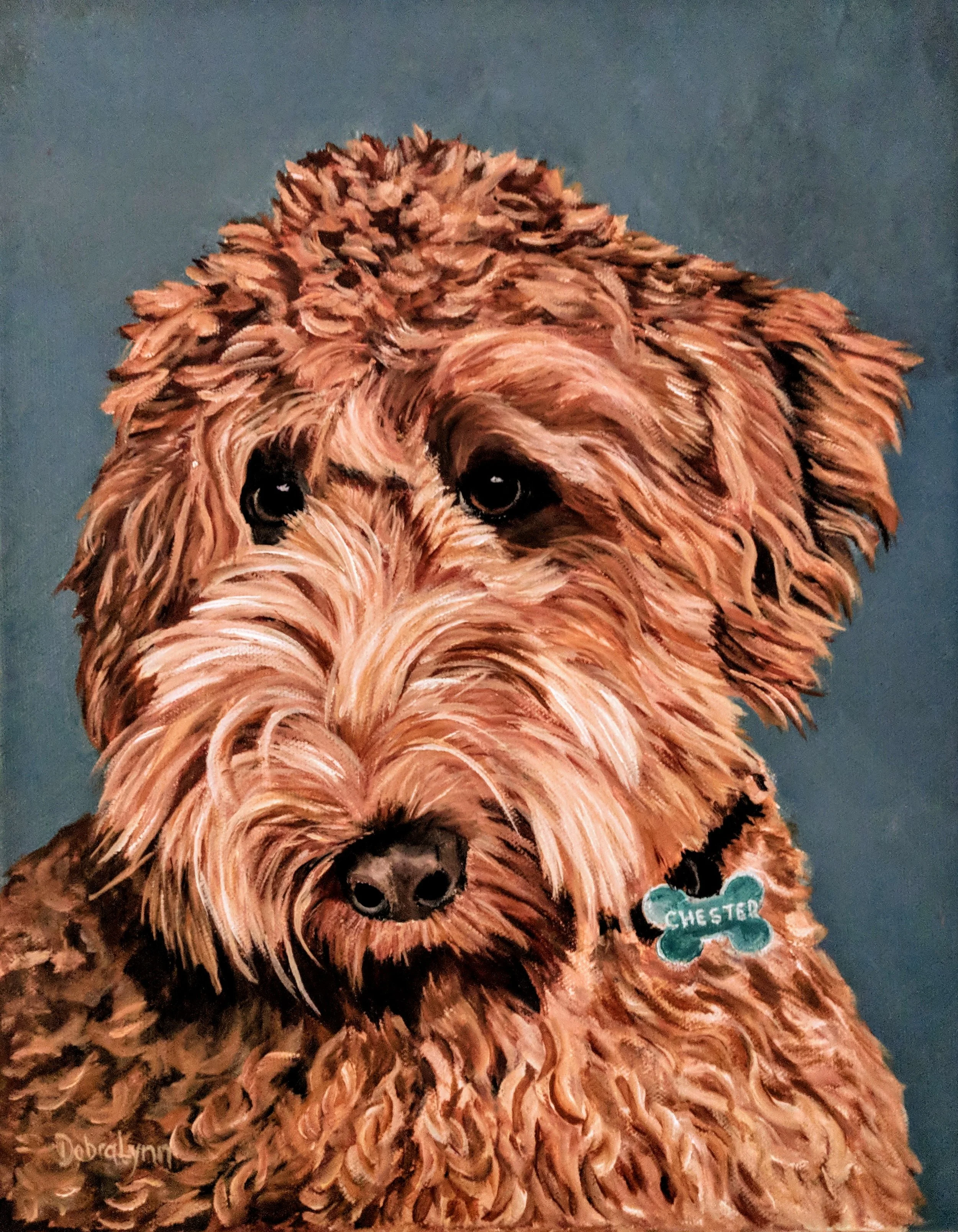 Chester. Goldendoodle