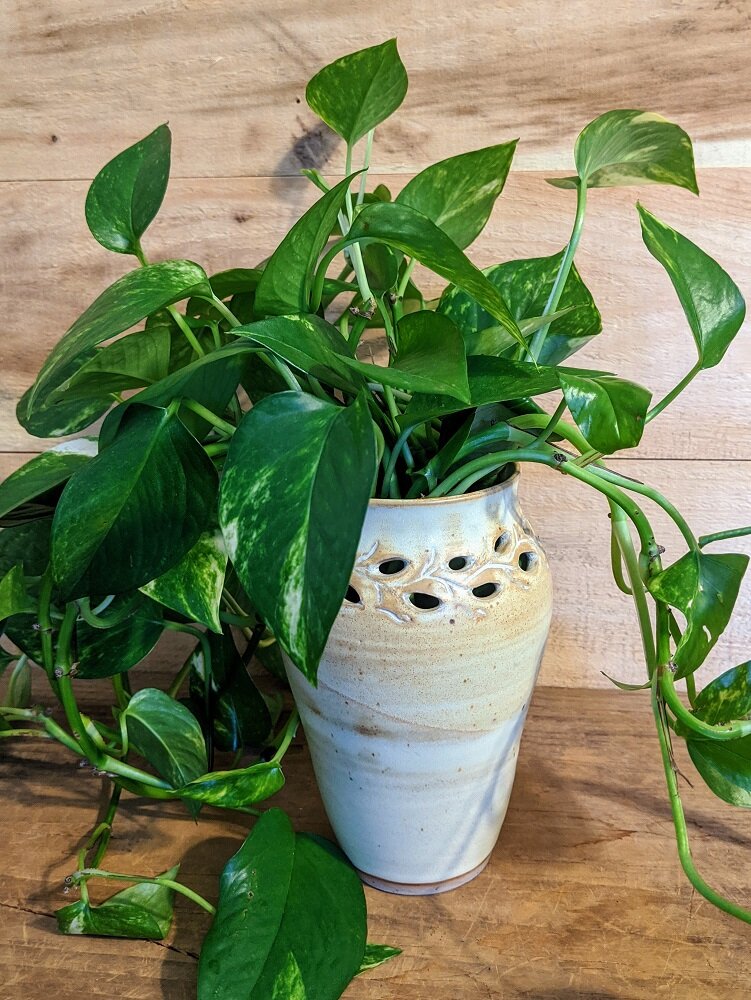 Creamy Cut Outs - SOLD