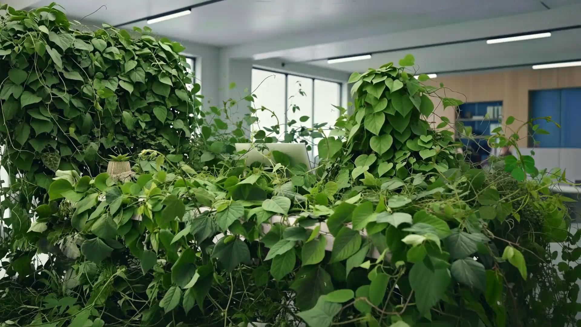 Get Out of the Weeds | ActiveCampaign