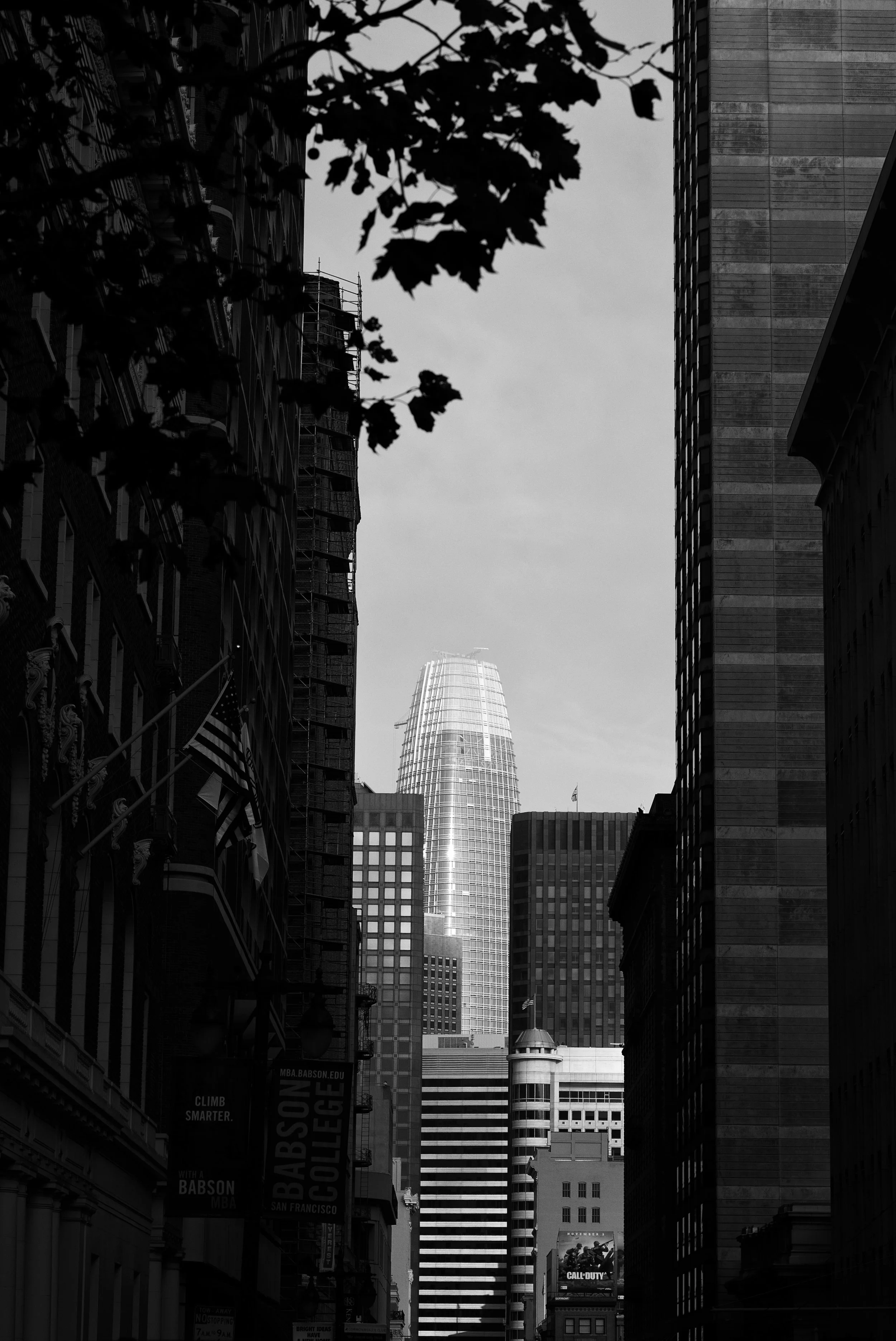 DSC08786-Edit.jpg