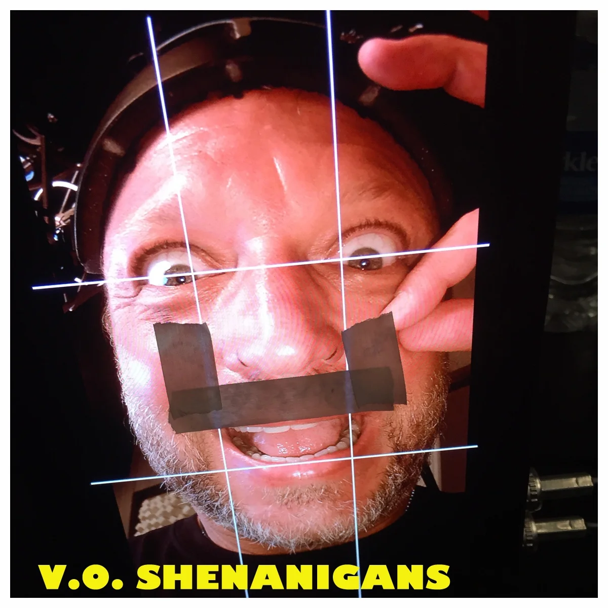 VO Shenanigans.jpg