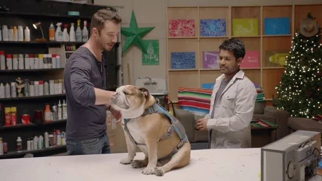 Baby Launch & Talking Dog - Prank