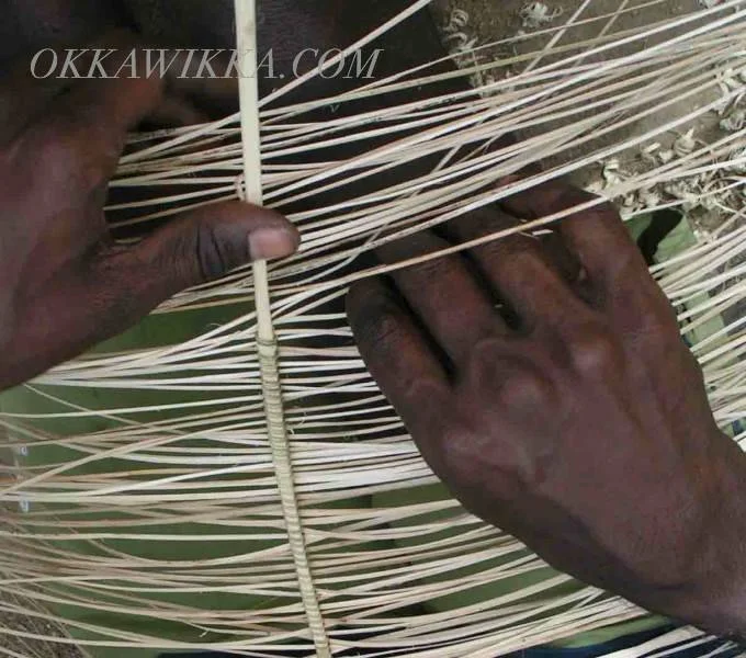  MINOLTA DIGITAL CAMERA 