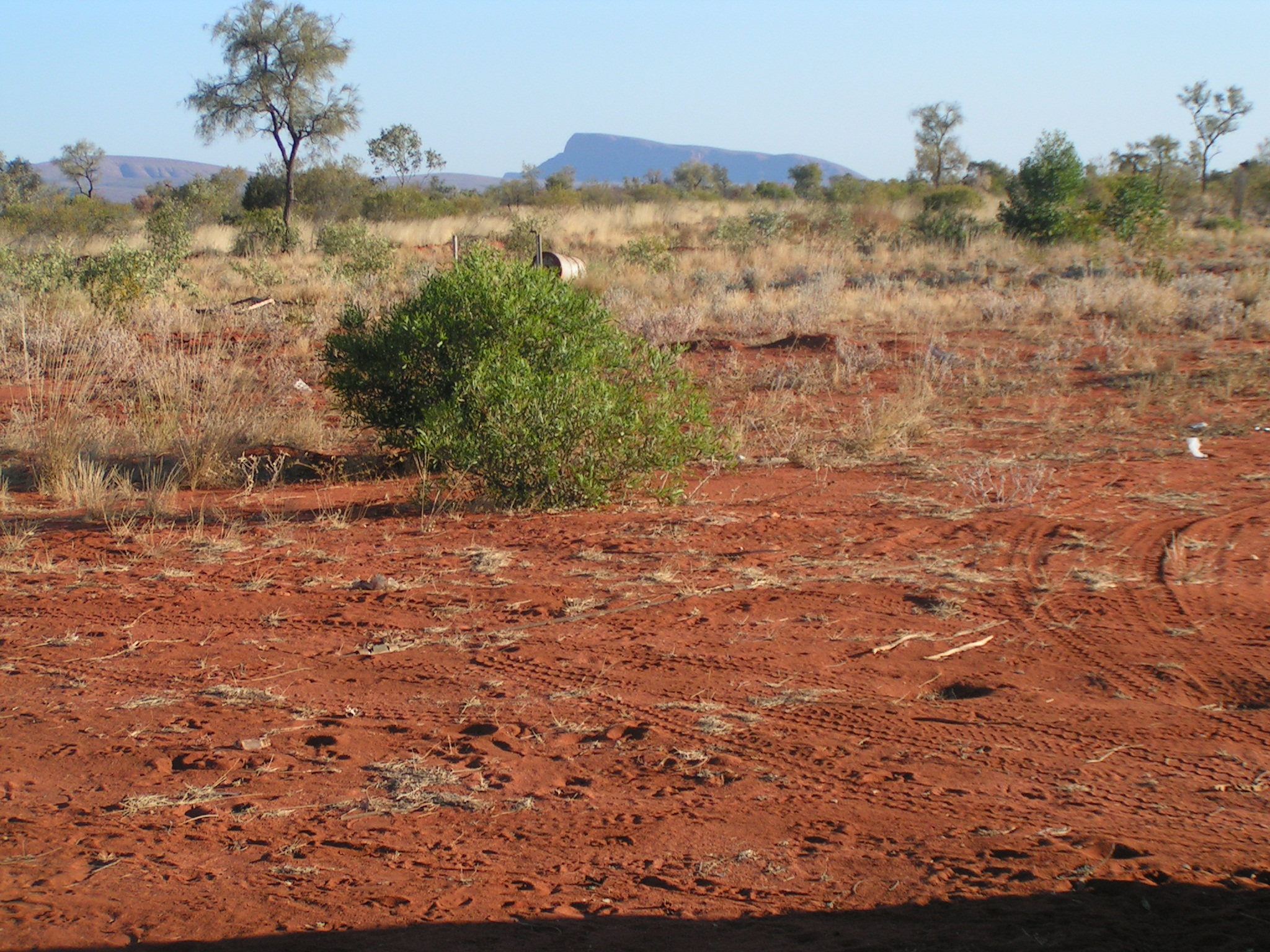 1-1-2003 12-00-00 AM_0073.JPG