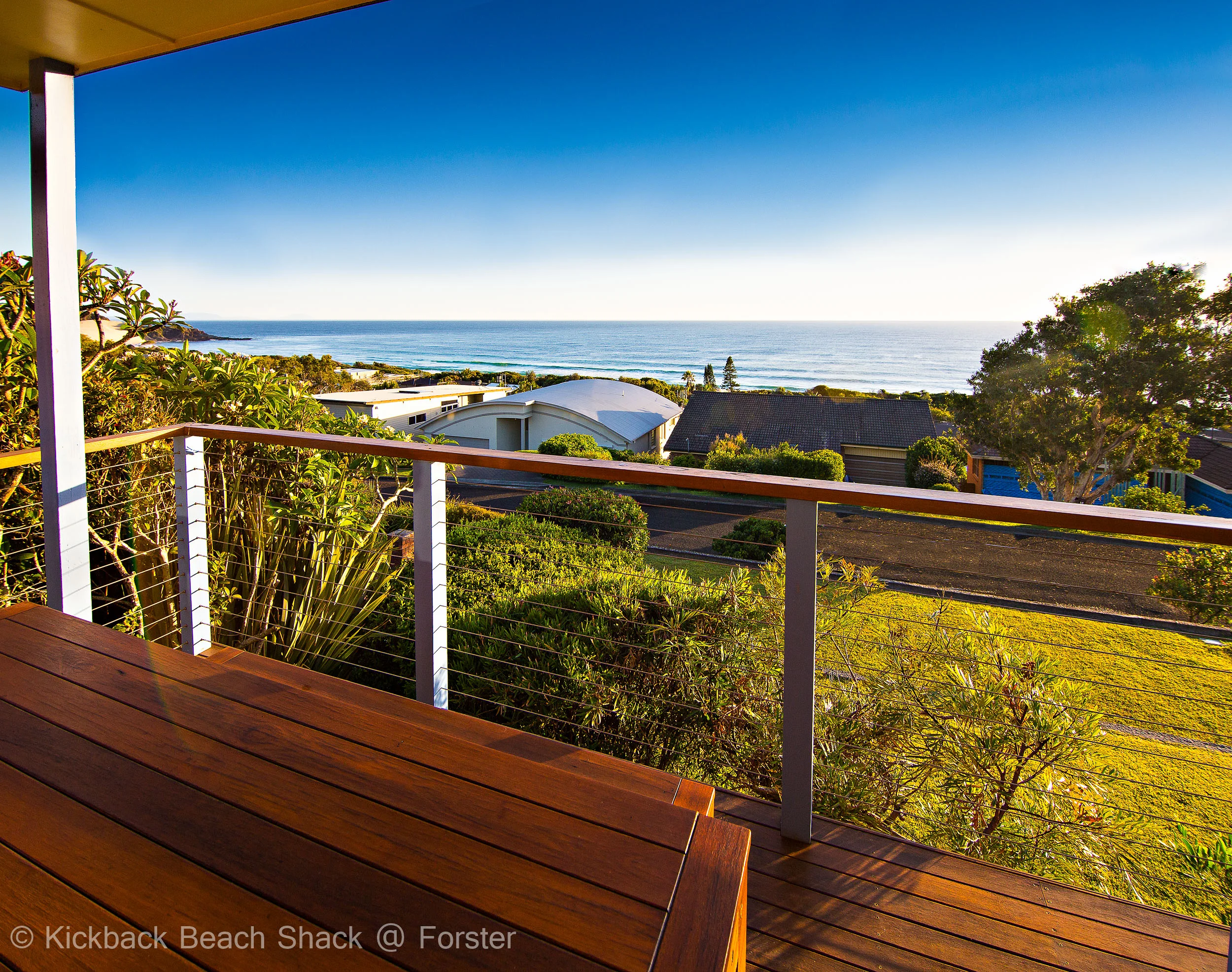 Forster Pet Friendly Accommodation and Holiday House NSW your yard