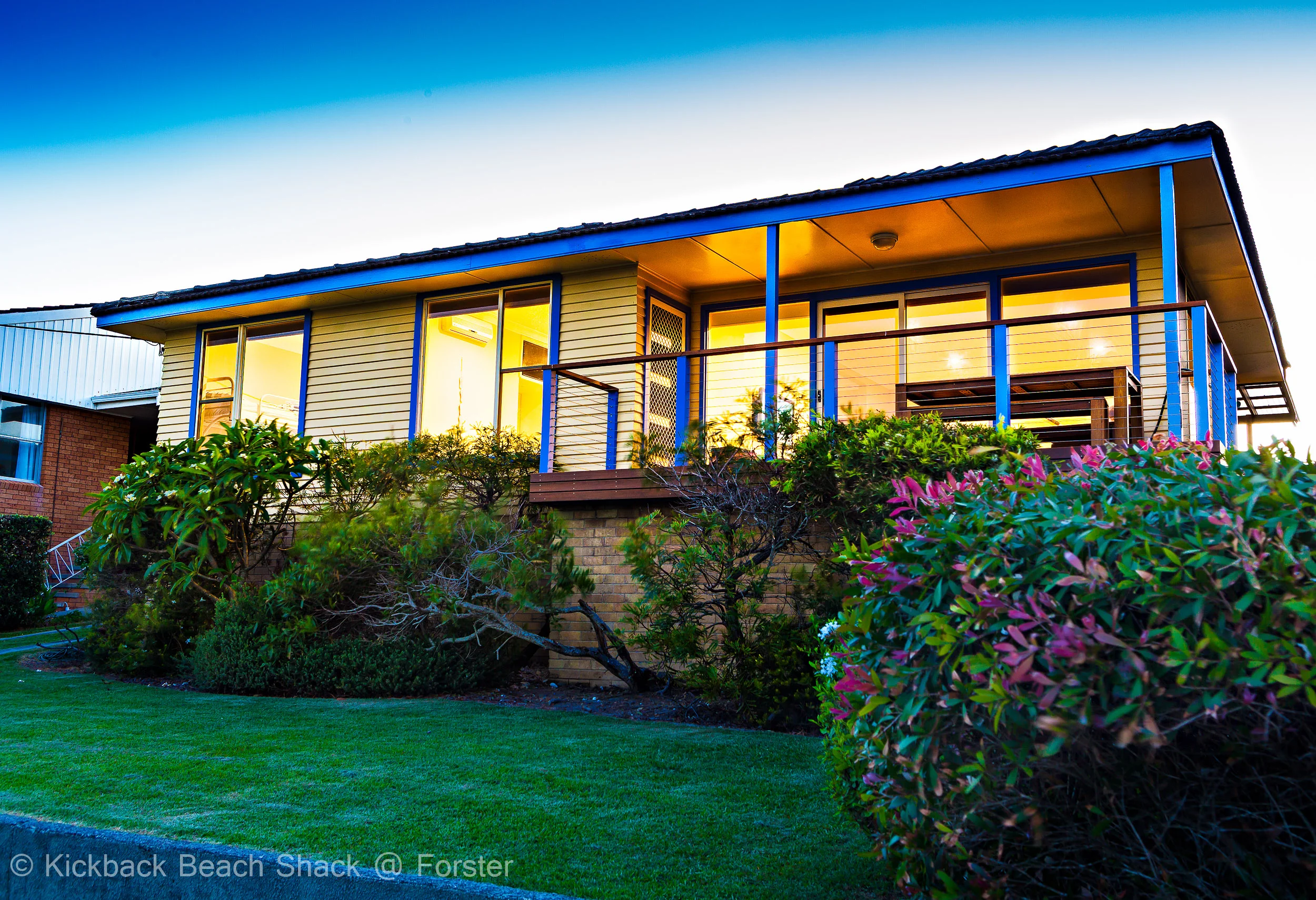 Forster Pet Friendly Accommodation and Holiday House NSW the lawn
