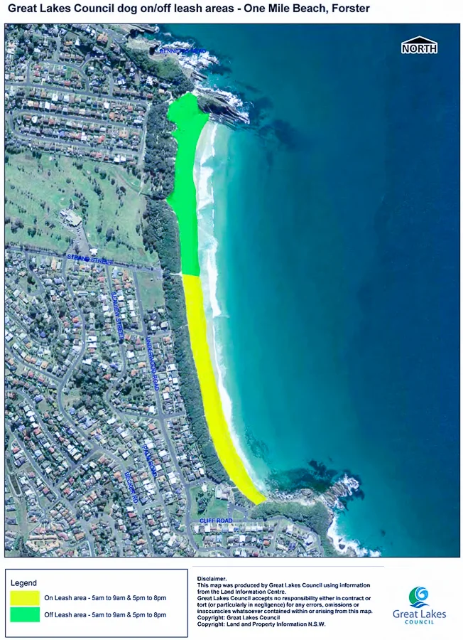 Forster-Accommodation-and-Pet-Friendly-Holiday-House-NSW-the-coast