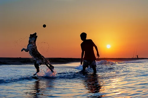 Forster-Accommodation-Holiday-House-that's-Pet-Friendly-NSW