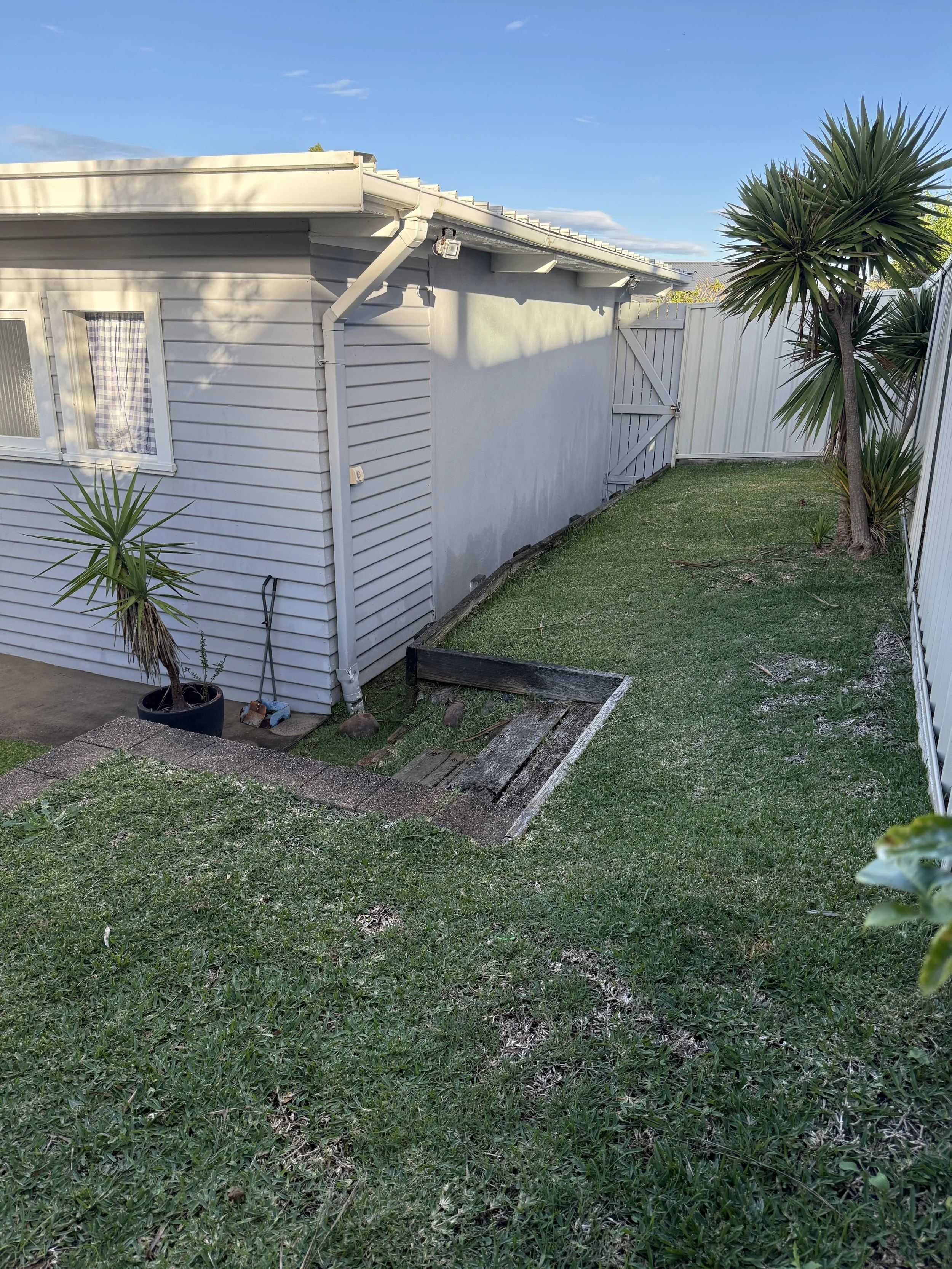 BACKYARD 2 .jpg