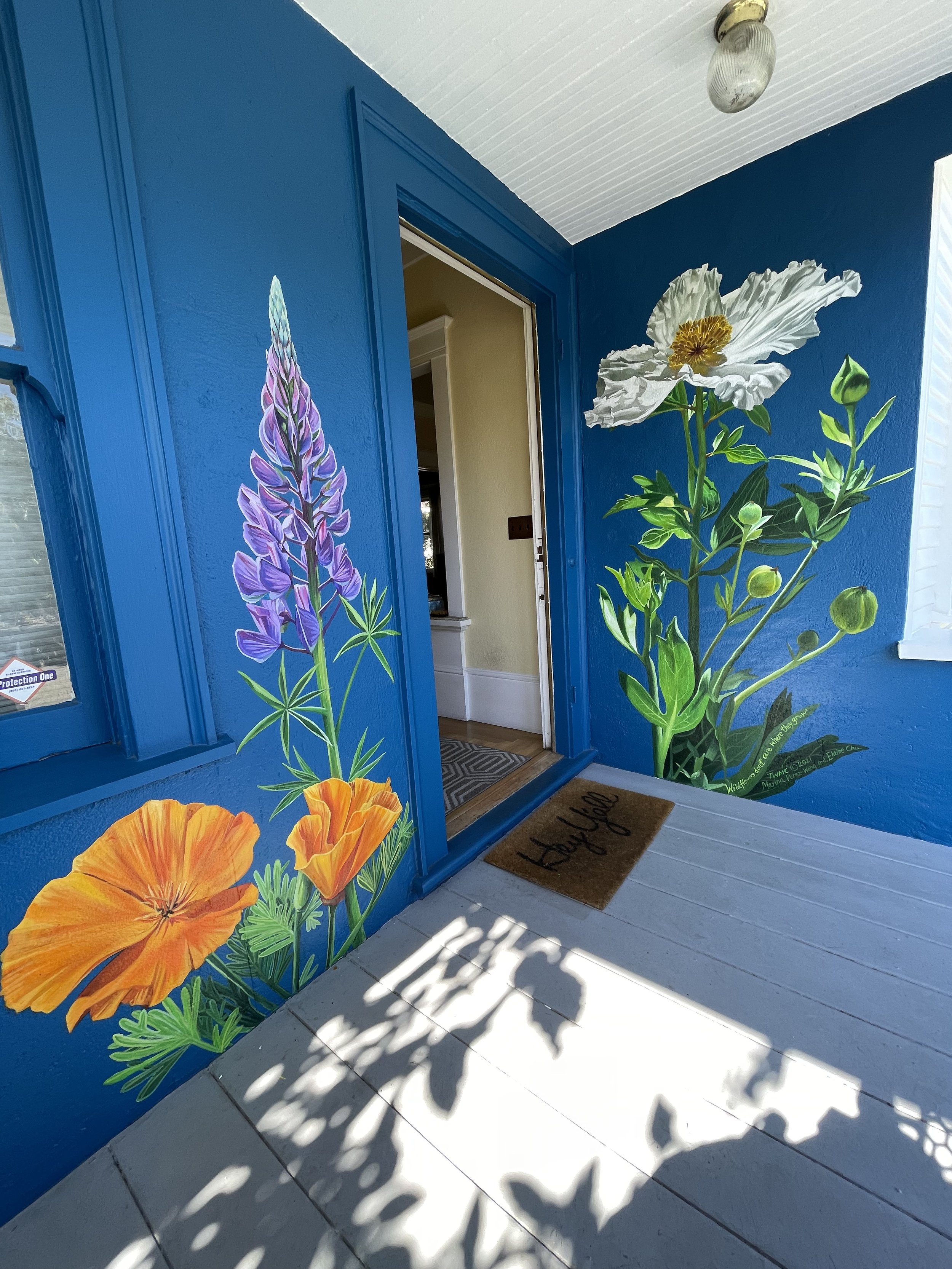 Wildflowers Don't Care Where They Grow