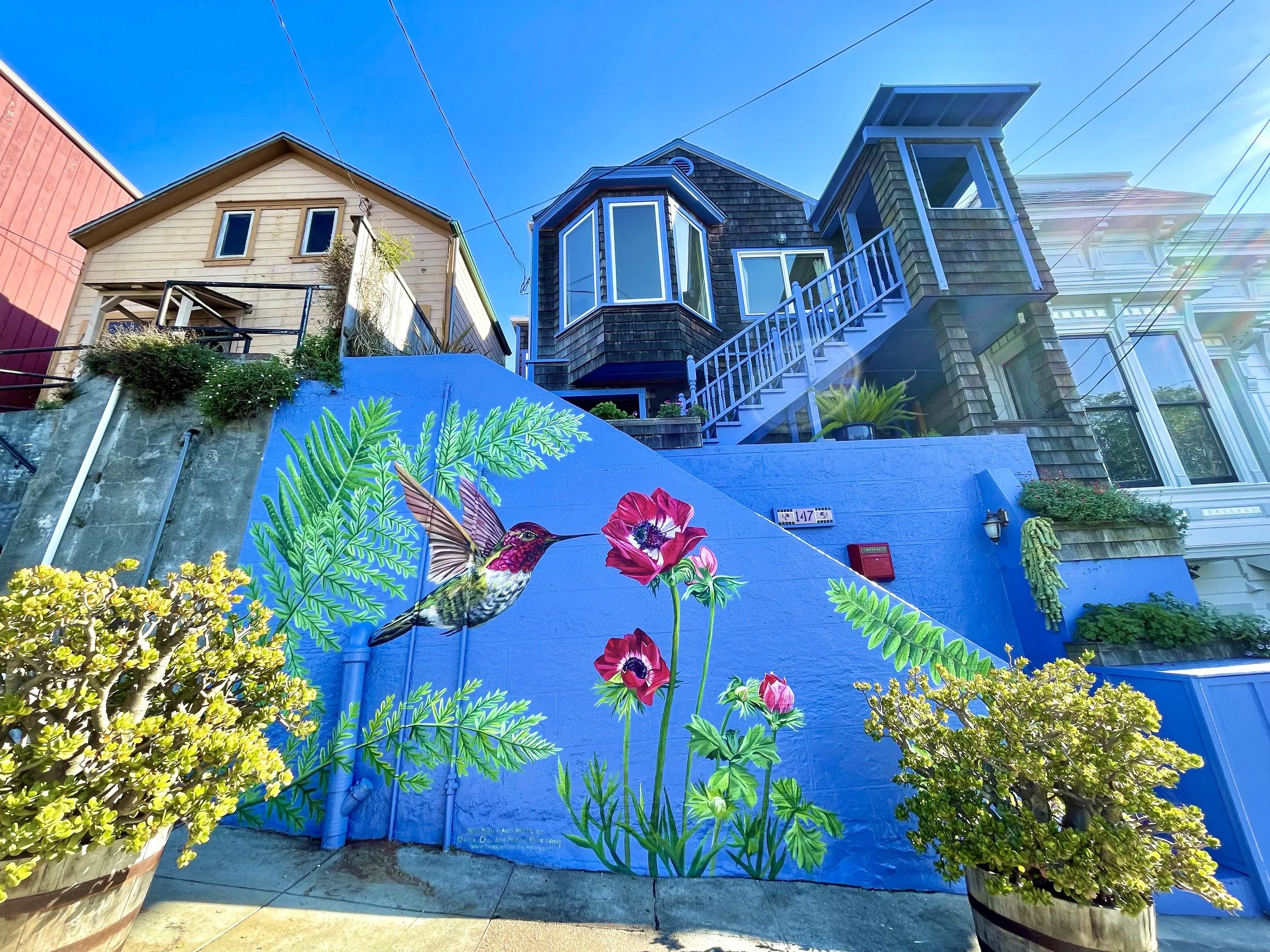 Happy Birthday Sandra