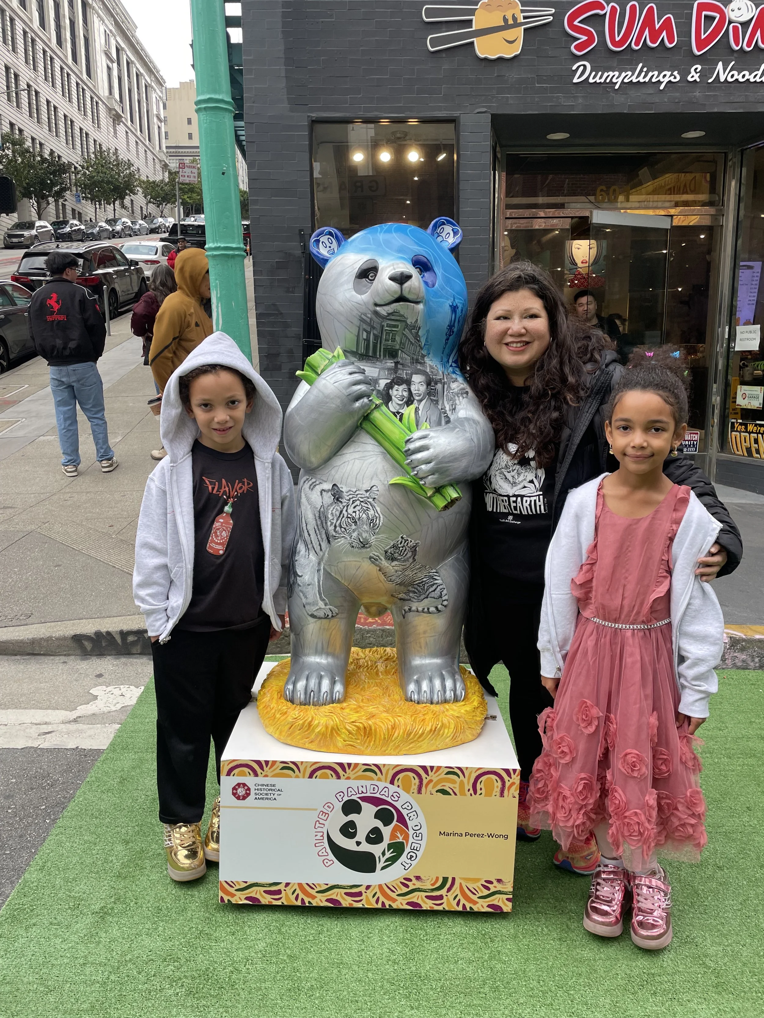   The Painted Pandas Project is a transformative initiative by the Chinese Historical Society of America (CHSA) to revitalize Chinatown through art, community engagement, and cultural pride.    Pandas at SFO   Six of the pandas will be roaming the gr