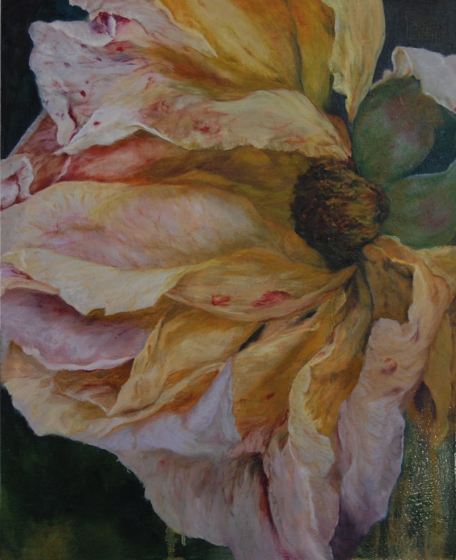   Last Rose , 2010 Oil on Board  44 x 36cm 