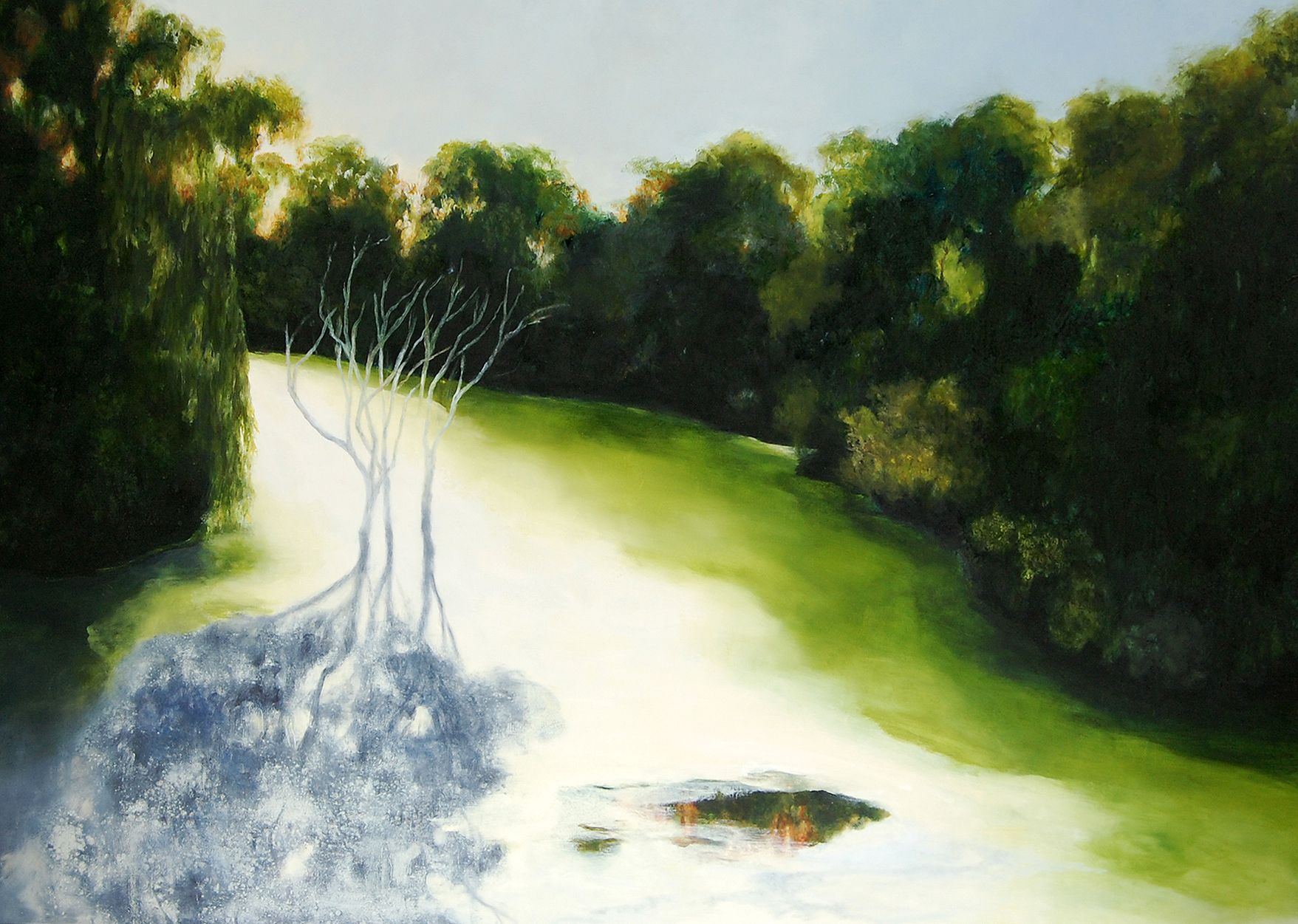 City Park, ghost gums, 2017, oil on board