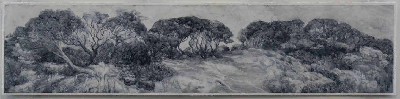 Coastal Drift, 2021, Oil on paper on Aluminium, 25 x 110cm