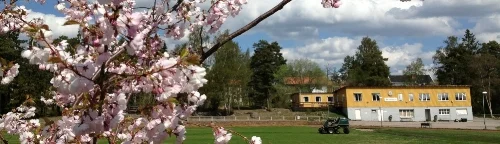 cropped-bild.jpg
