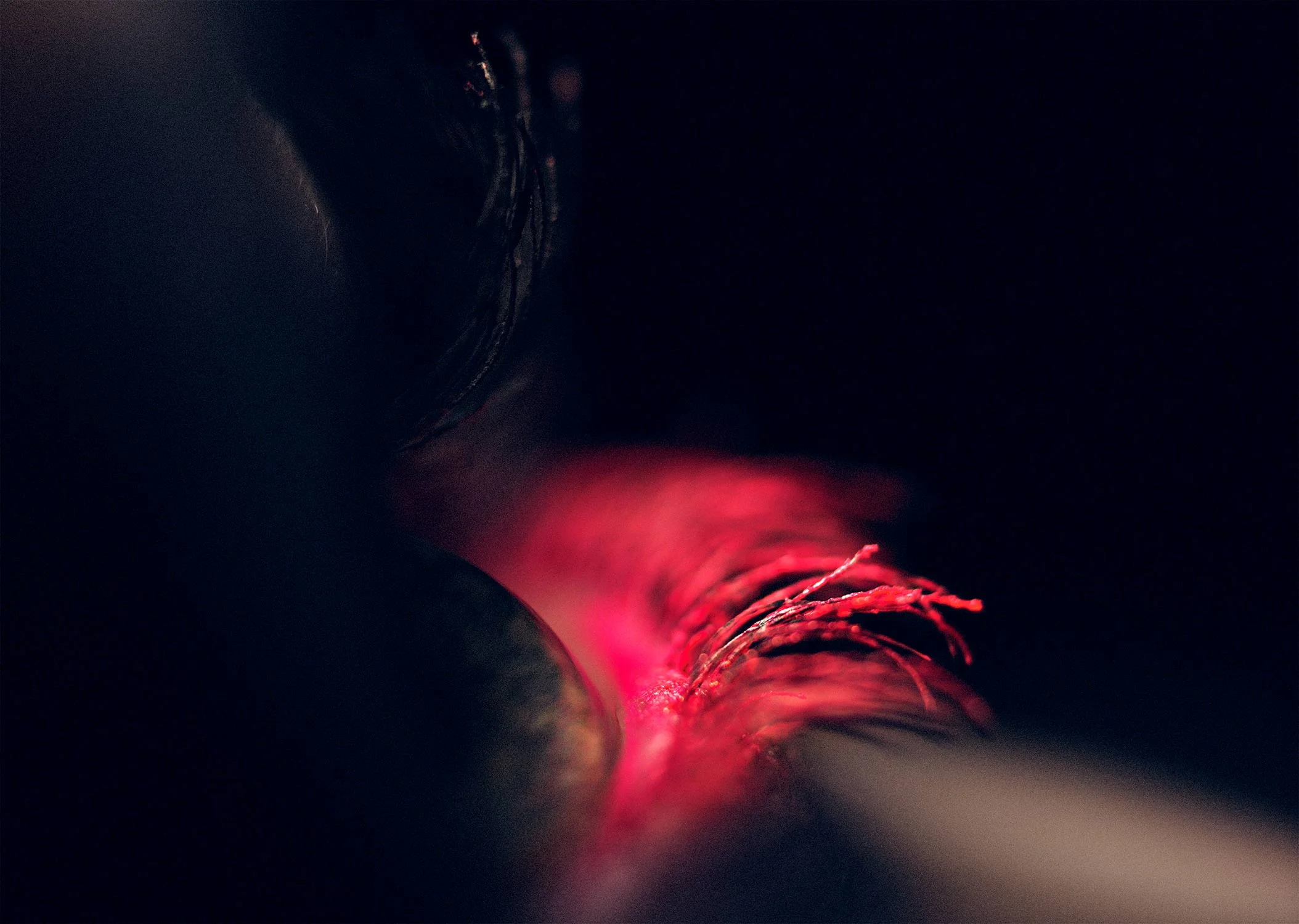 130111.CLOSEUP_0133.jpg