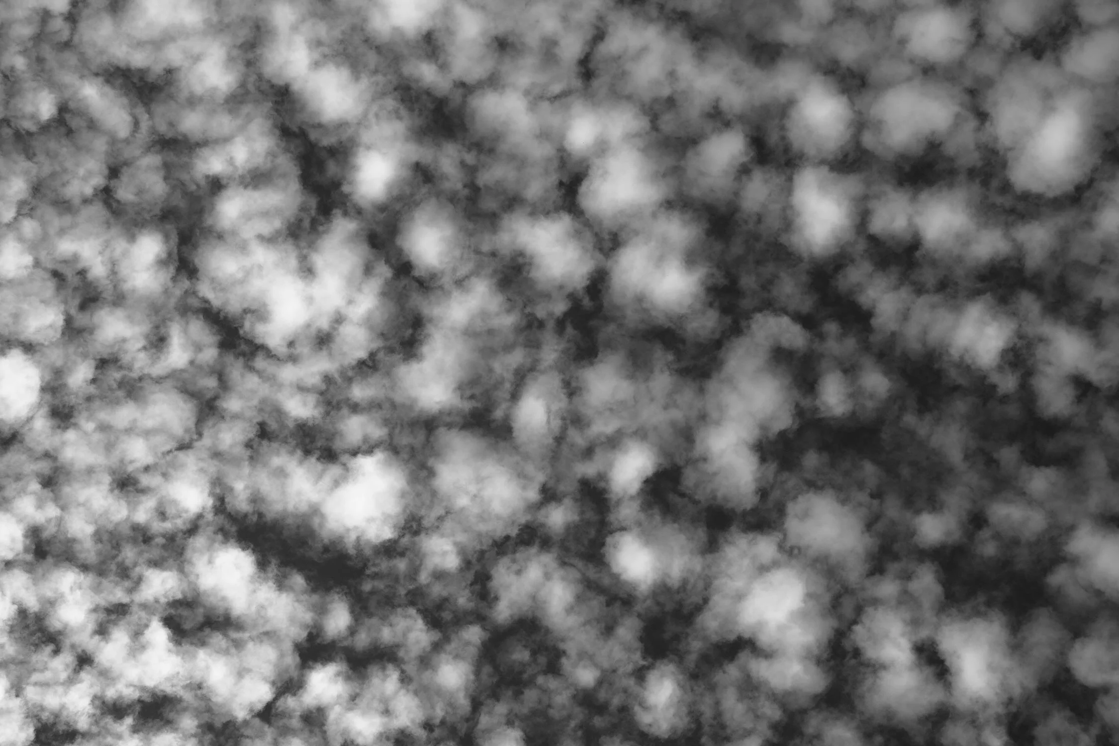 _SDI0472.jpg