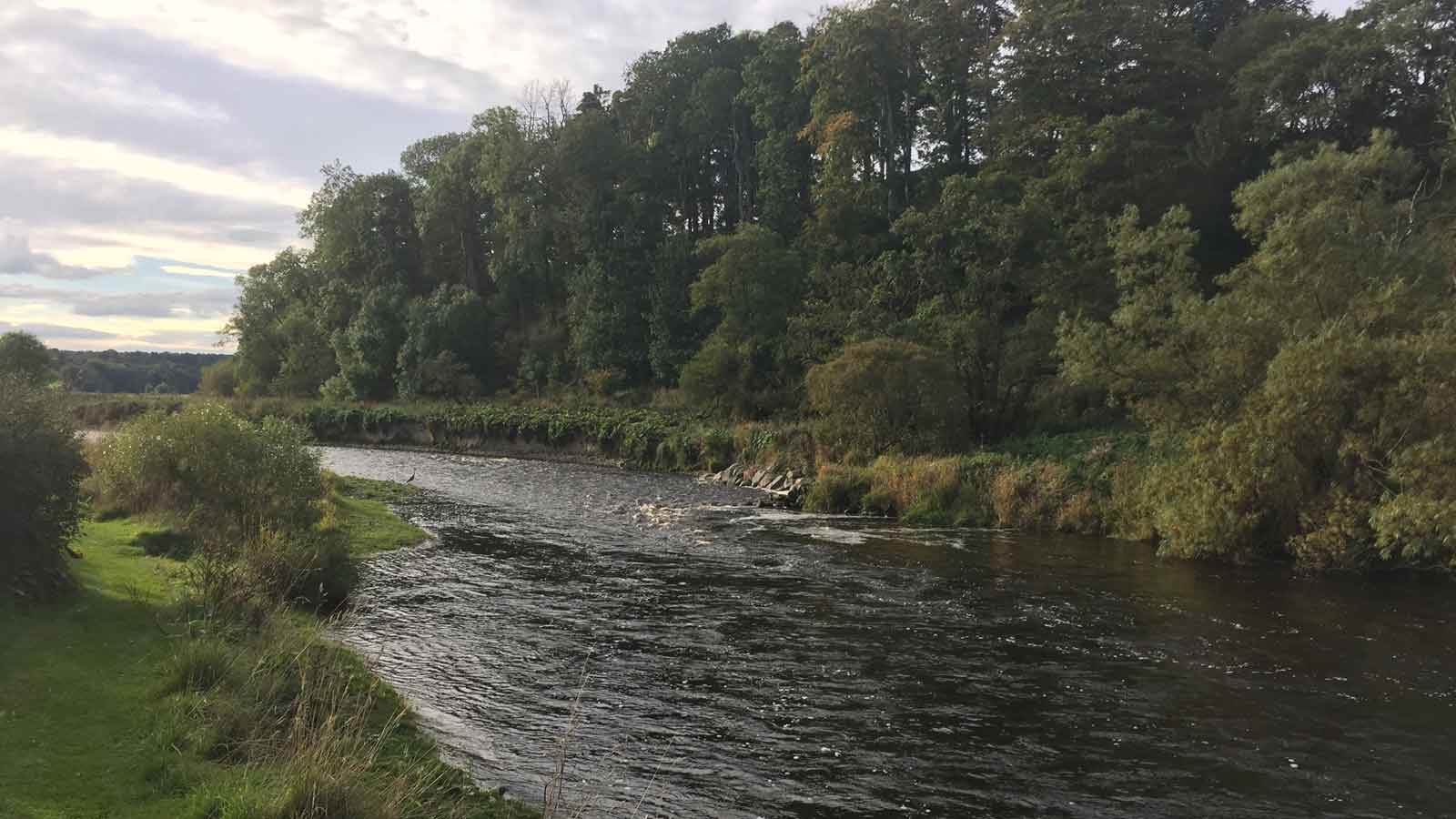 river-02.jpg