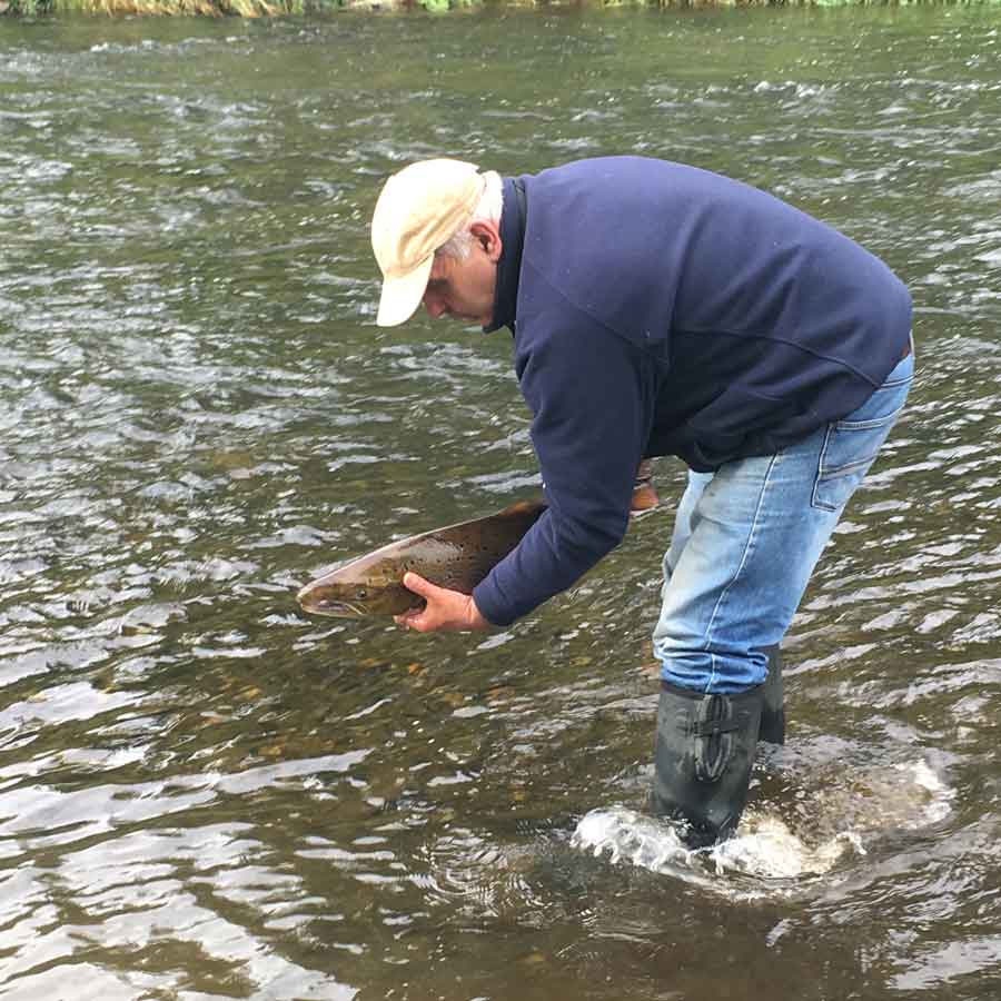 Neil returns a fish which swam off quite confidently.