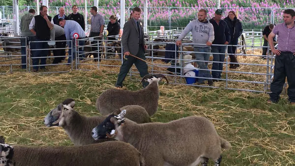 Turriff show 2017